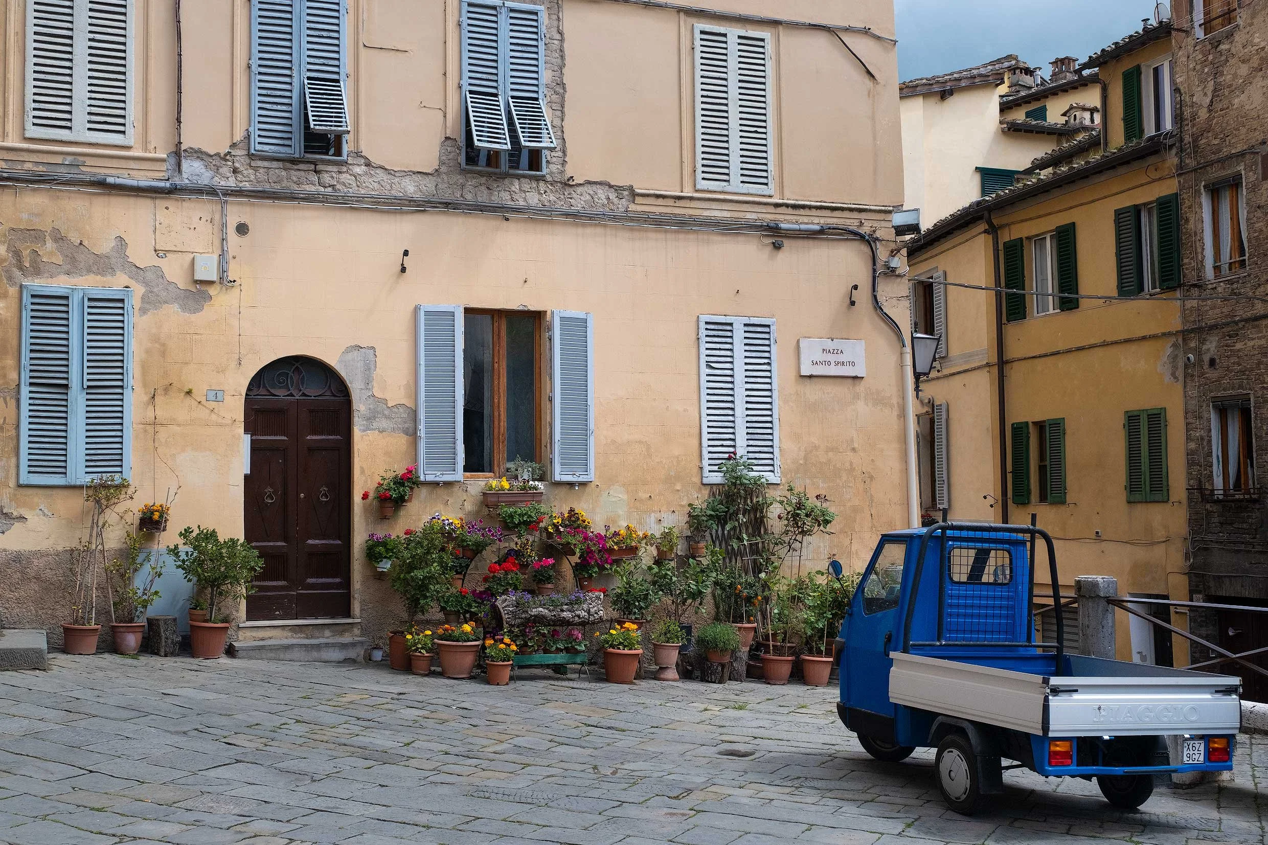 Sienna-Front-Yard.JPG