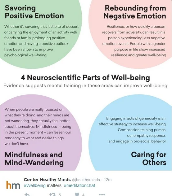well-being via healthyminds.jpg