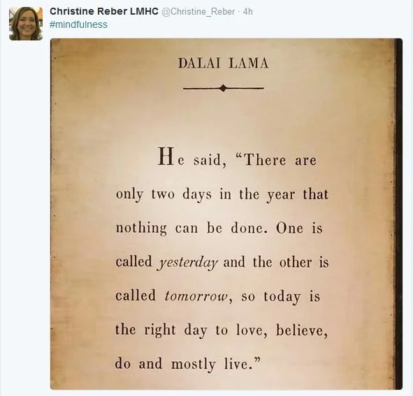 Lama via Christine Reber.jpg