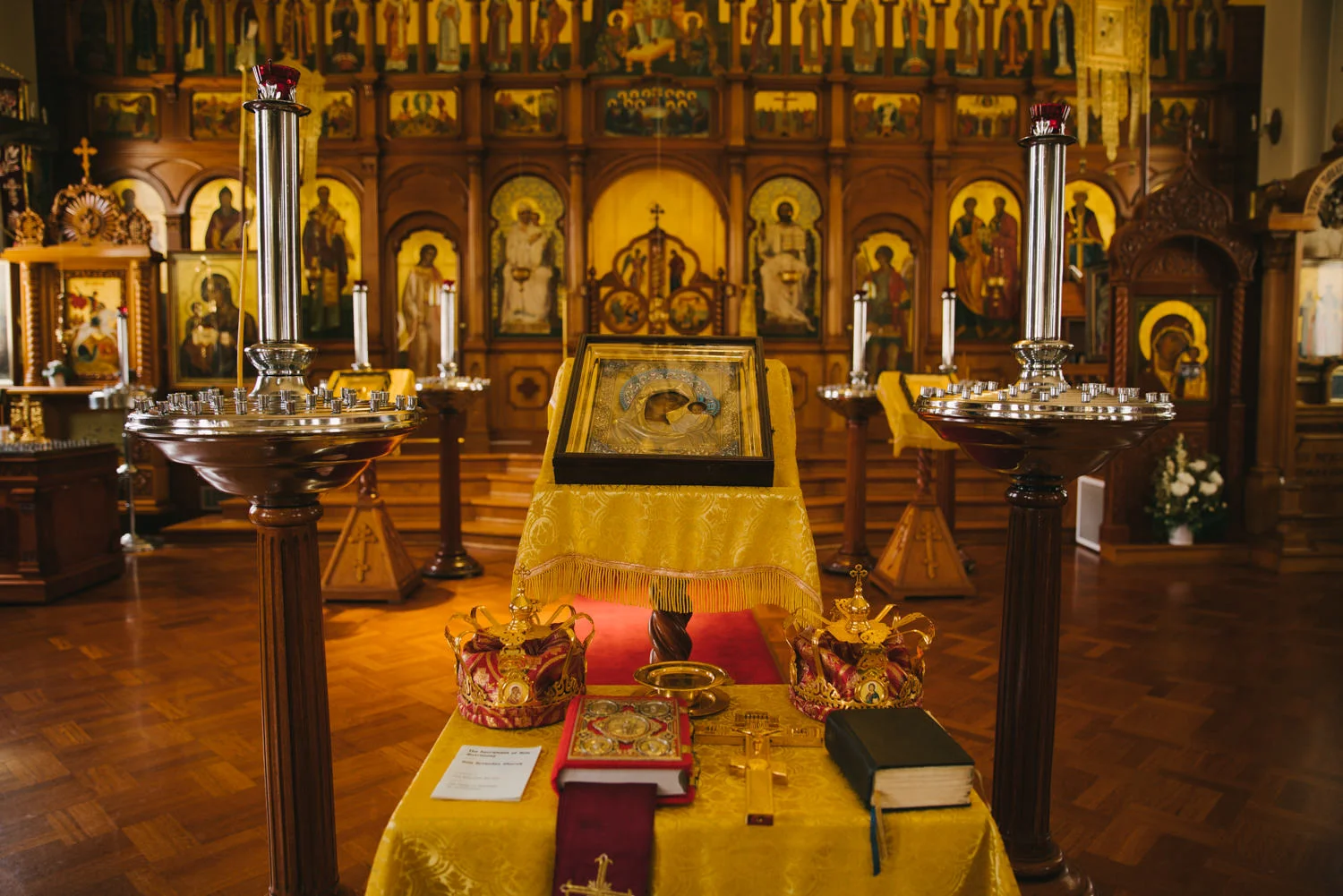 Vladmir and Danielle 2016 11 20-70.jpg