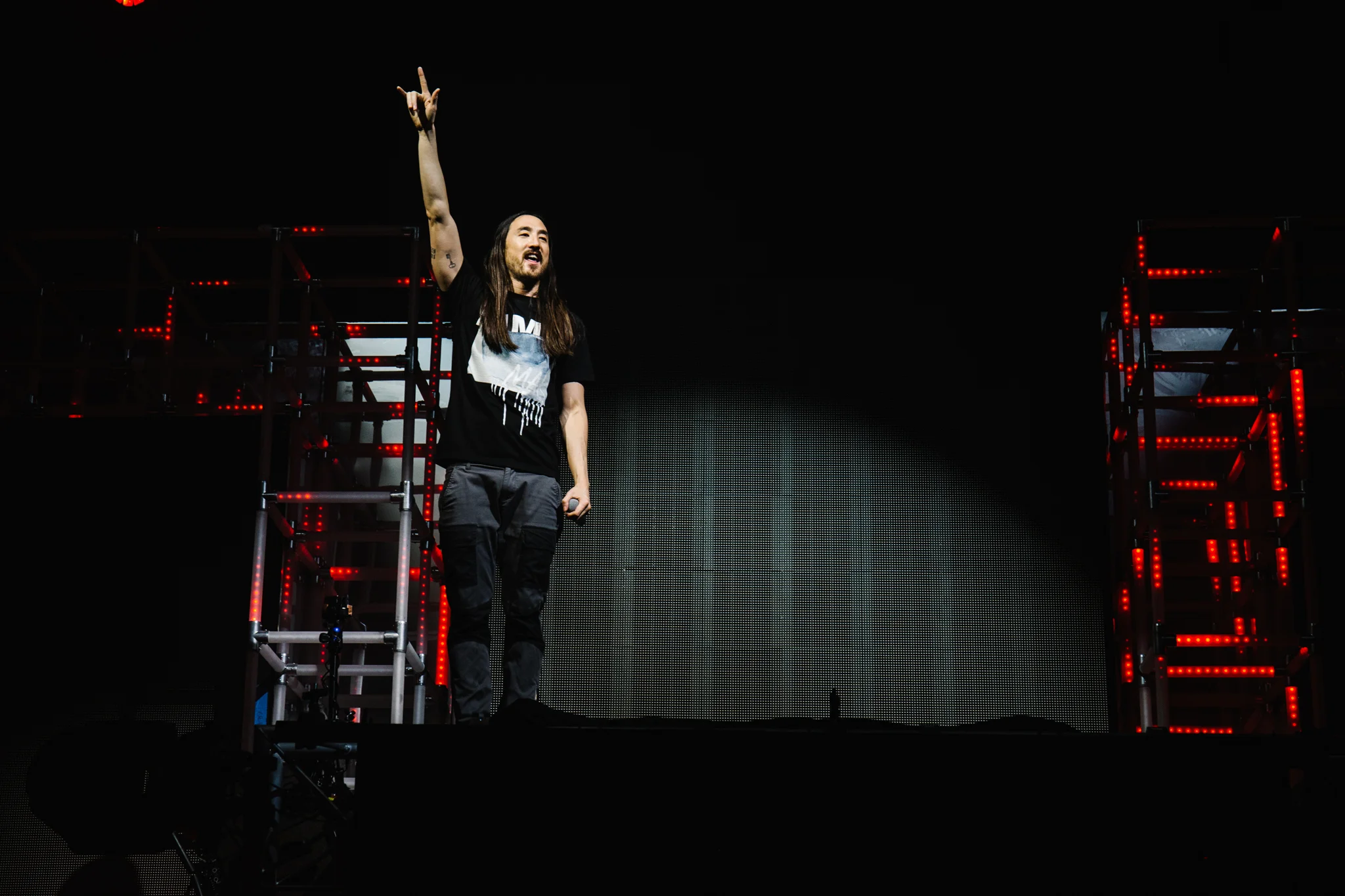 Steve Aoki