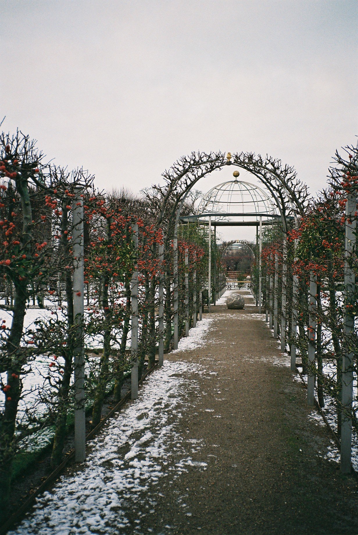 F1000007.JPG