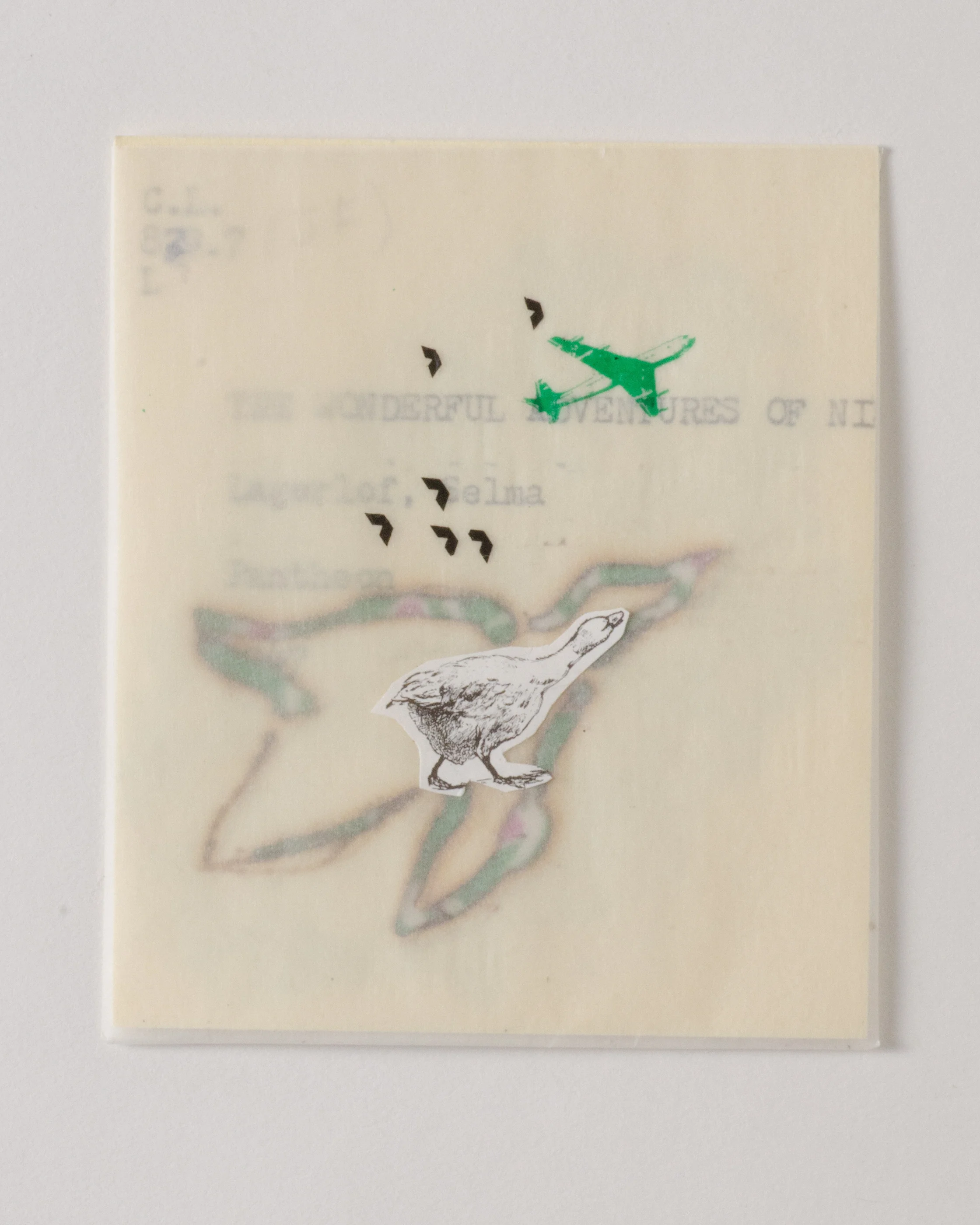 curriculum_lab-7495.jpg