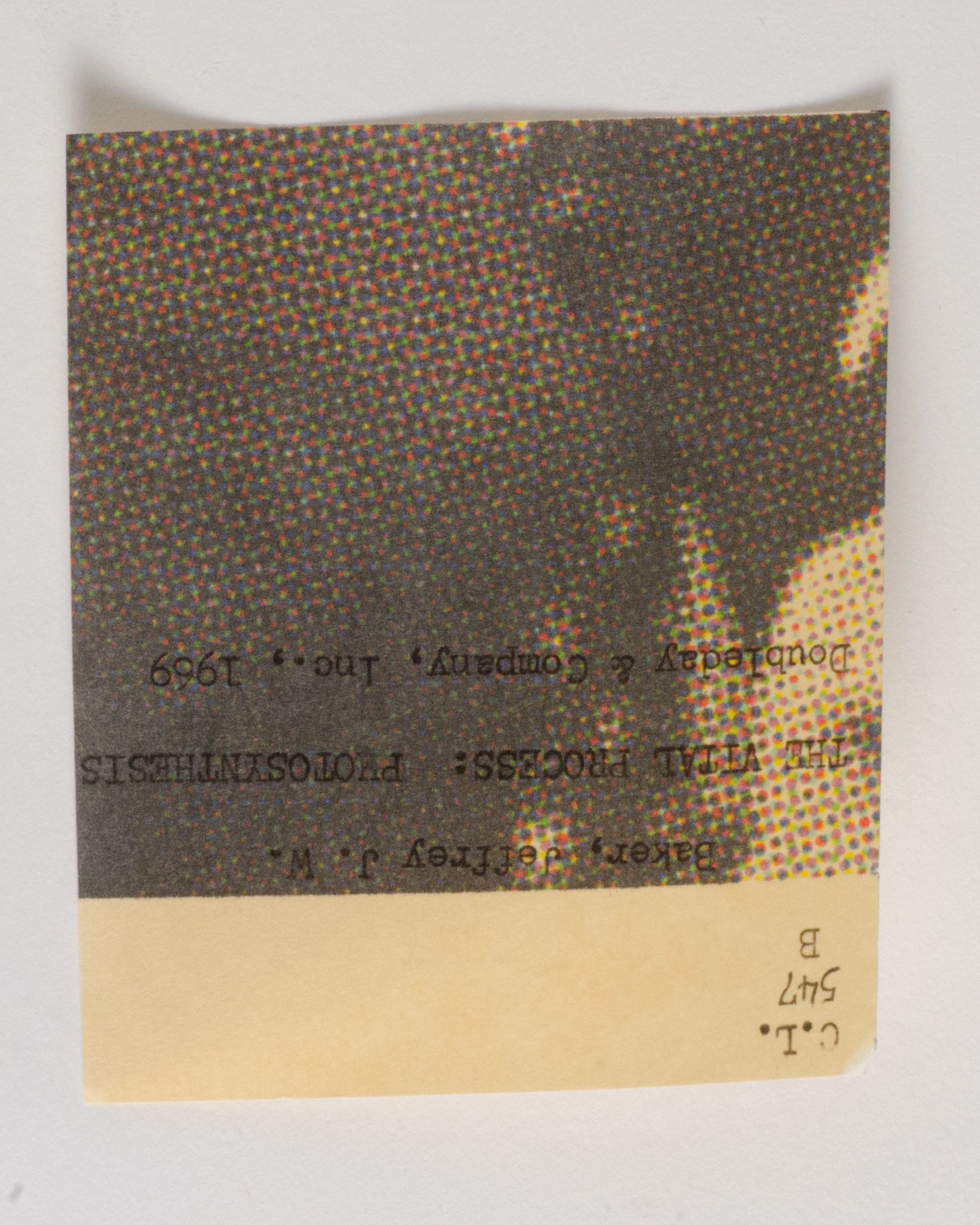 curriculum_lab-7581.jpg