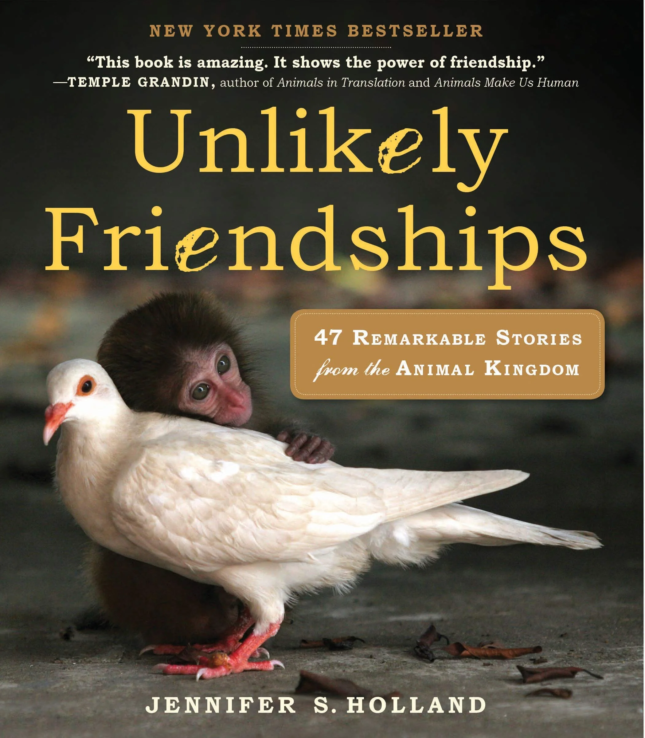 Unlikely Friendships 47 Remarkable Stories From The Animal Kingdom By Jennifer S Holland Southampton Books Sag Harbor Books