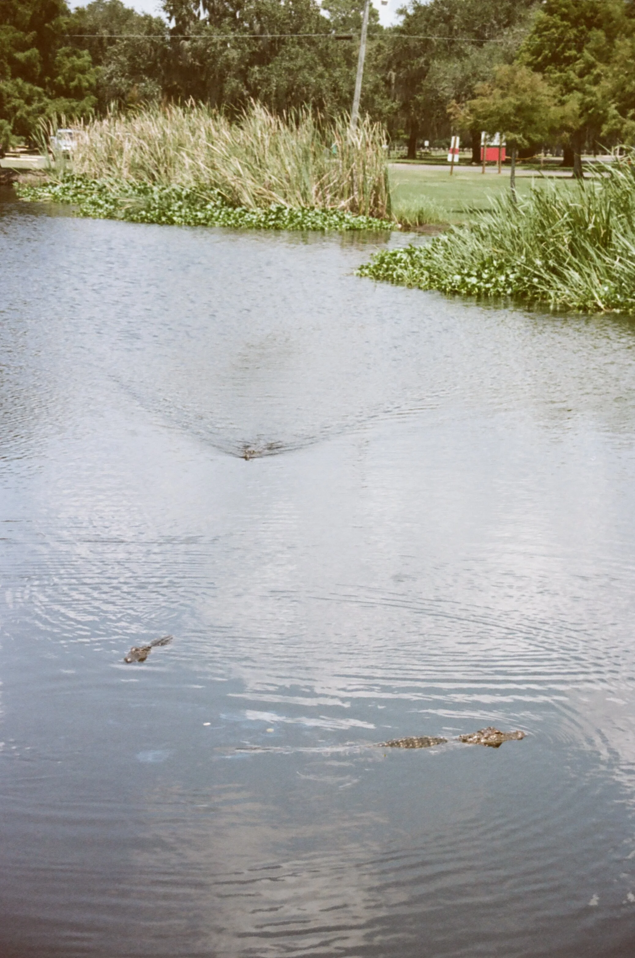 000028690032 copy.jpg