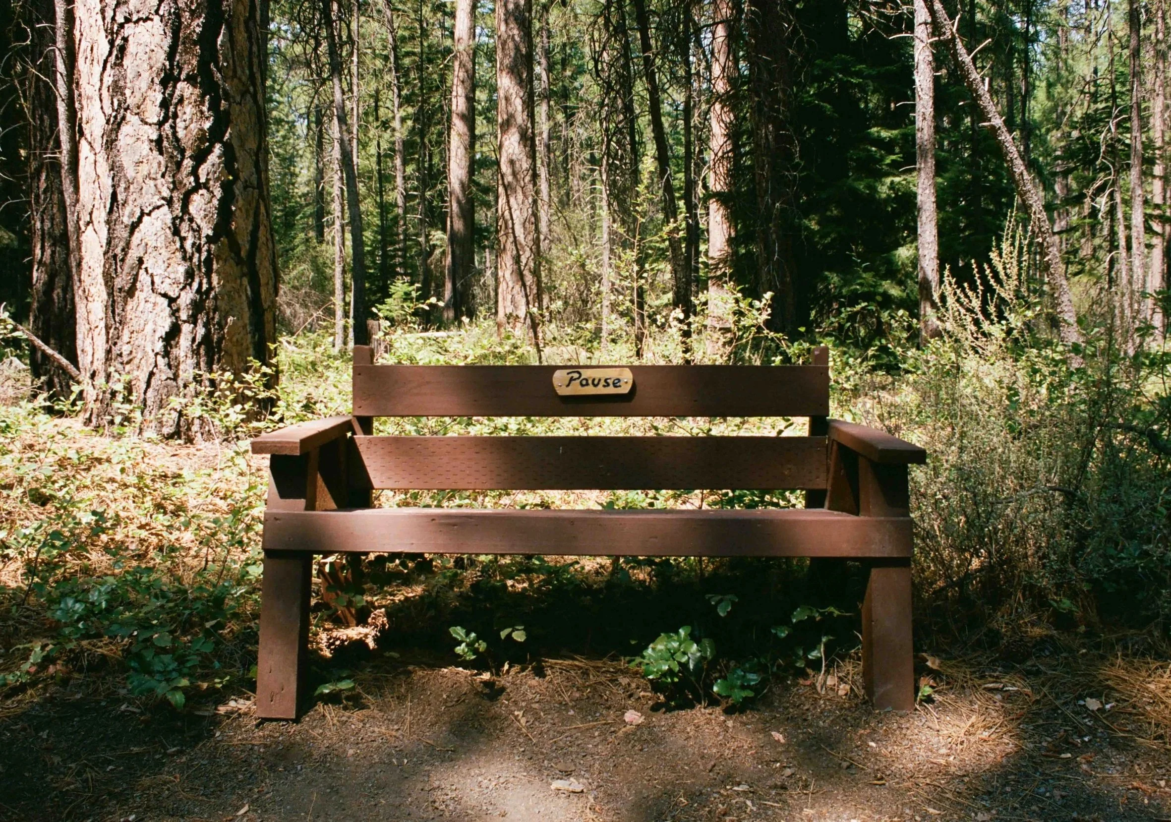 96.jpg