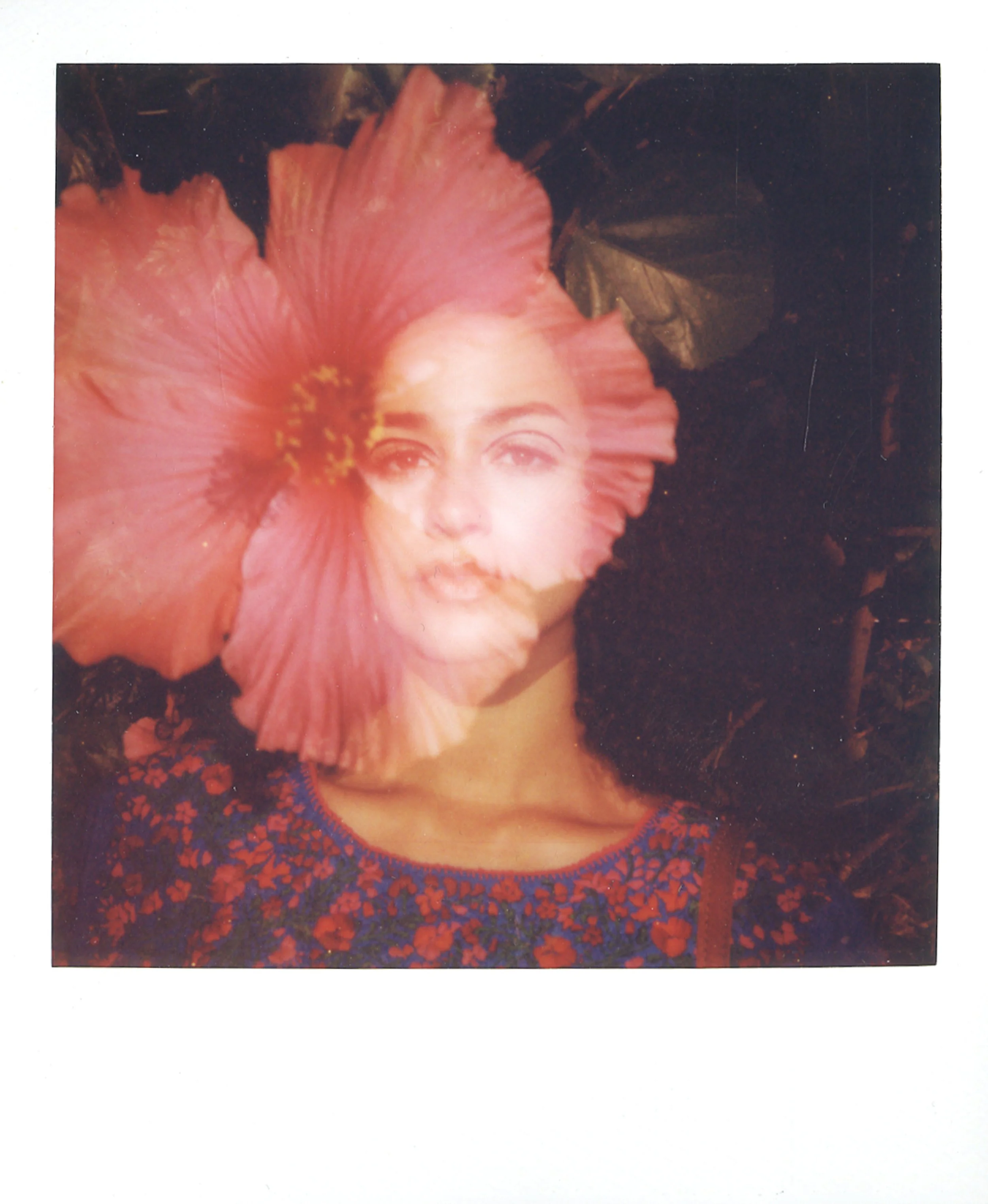 REV_Polaroids005.jpg