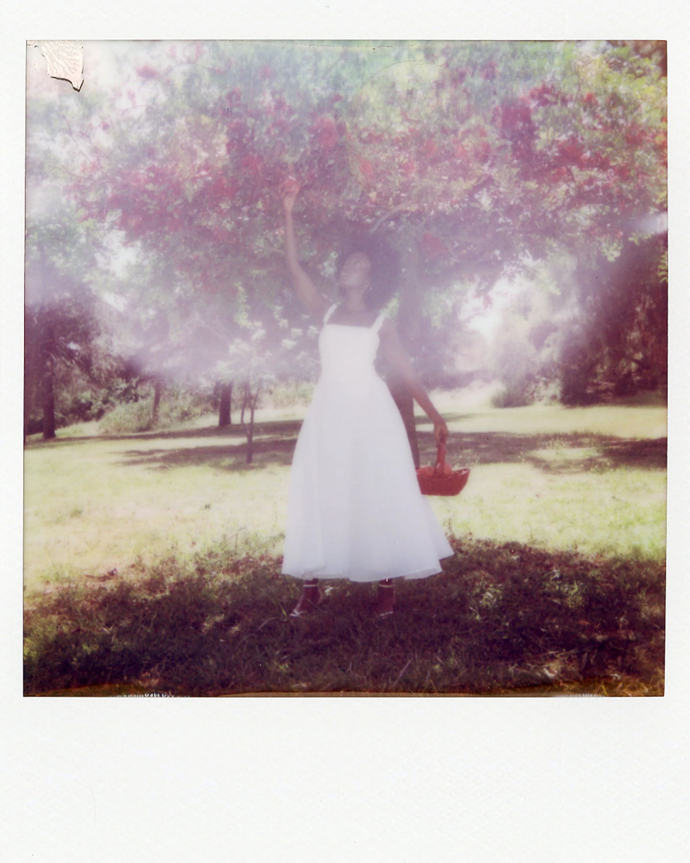 26.04.24_Polaroid_04.jpg