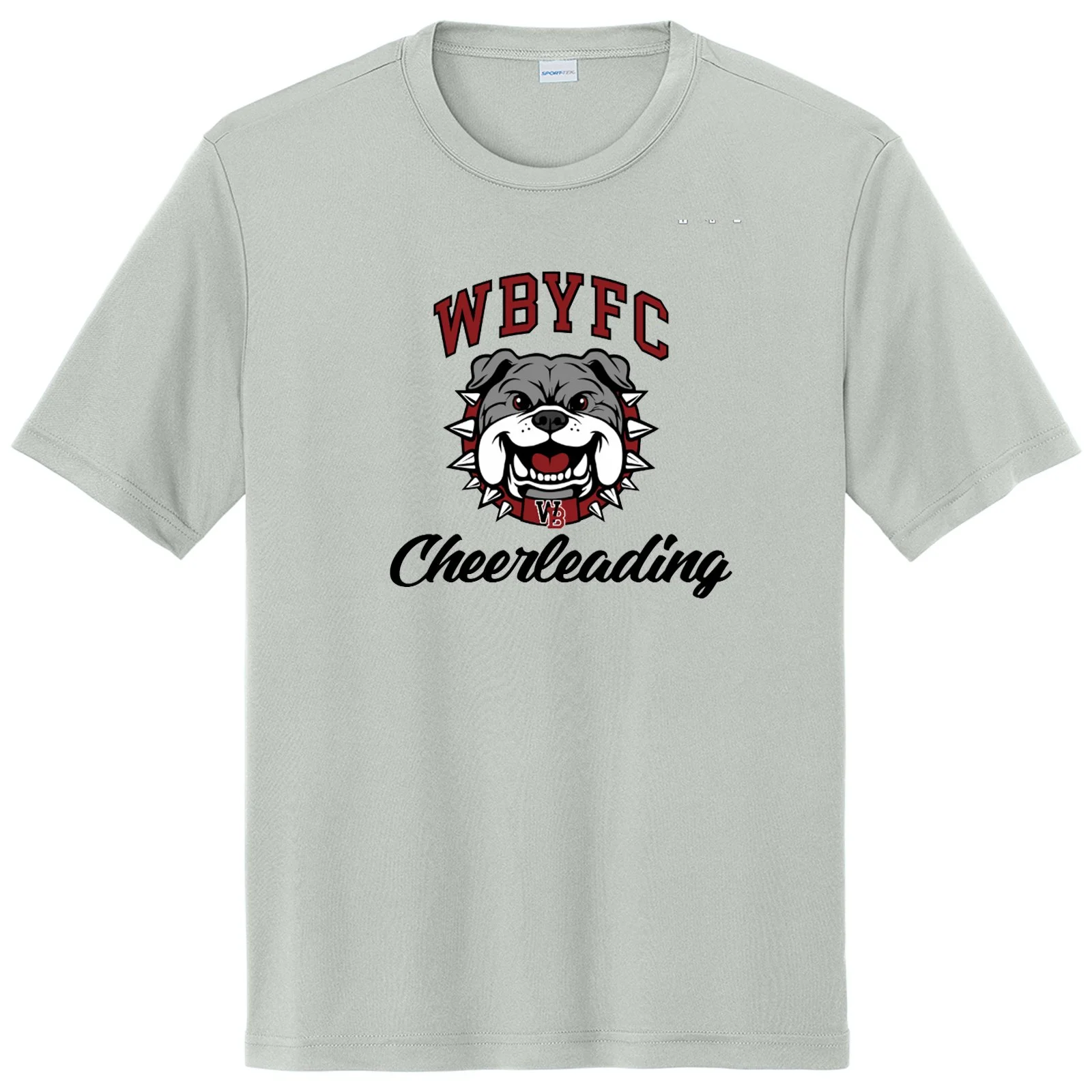 Cheer-ST350-Silver-Front.jpg