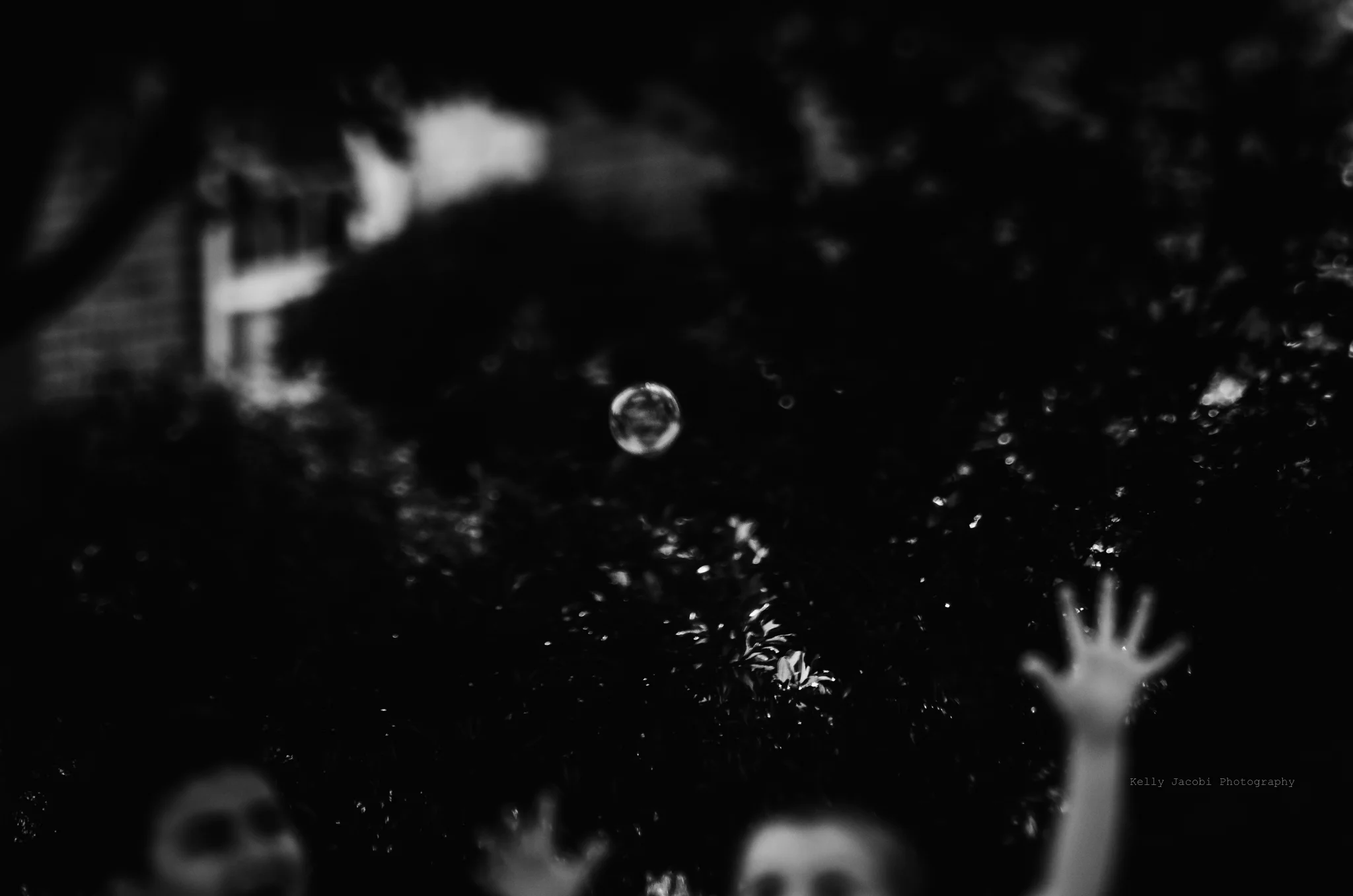 2_untitled-8823.jpg