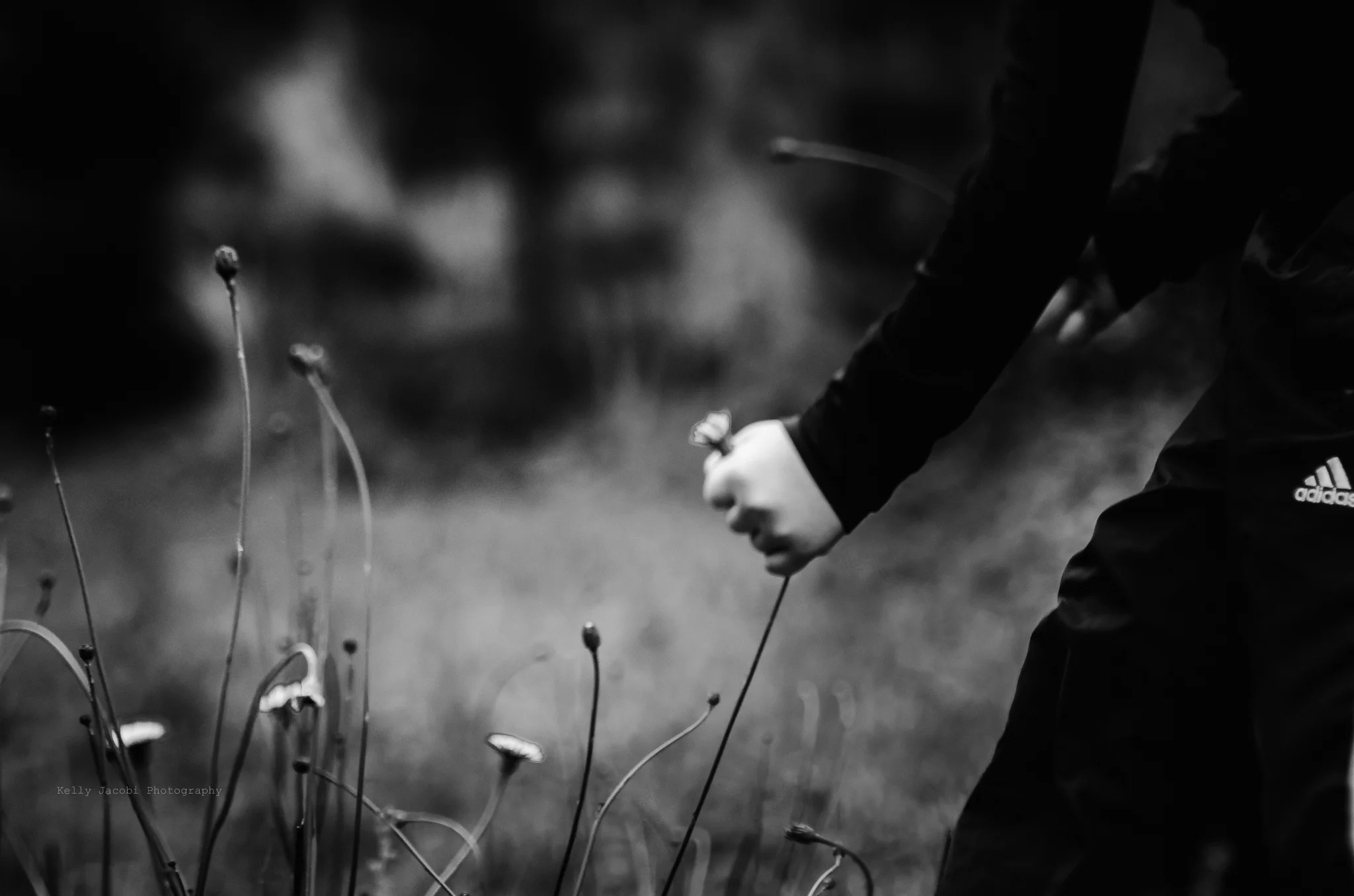 untitled-6125.jpg