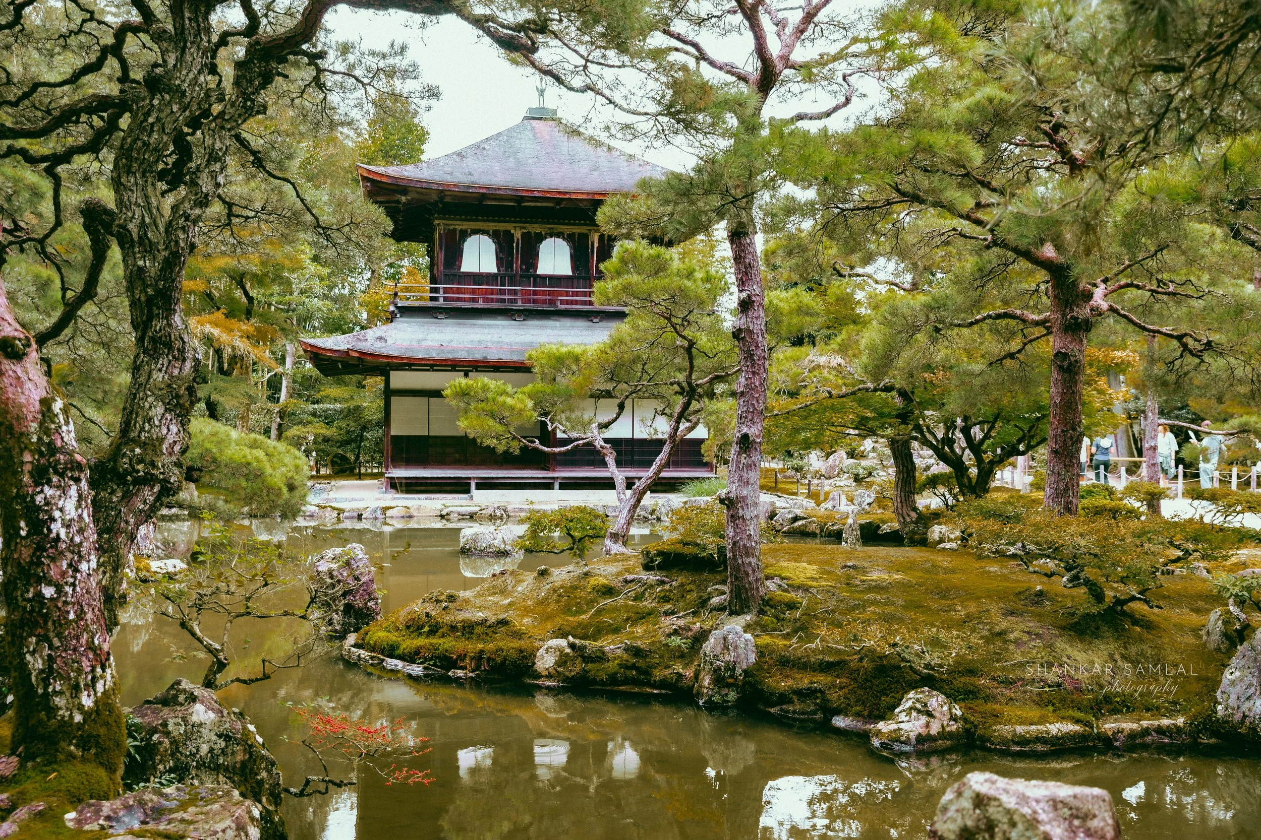_CQ_4300.jpg