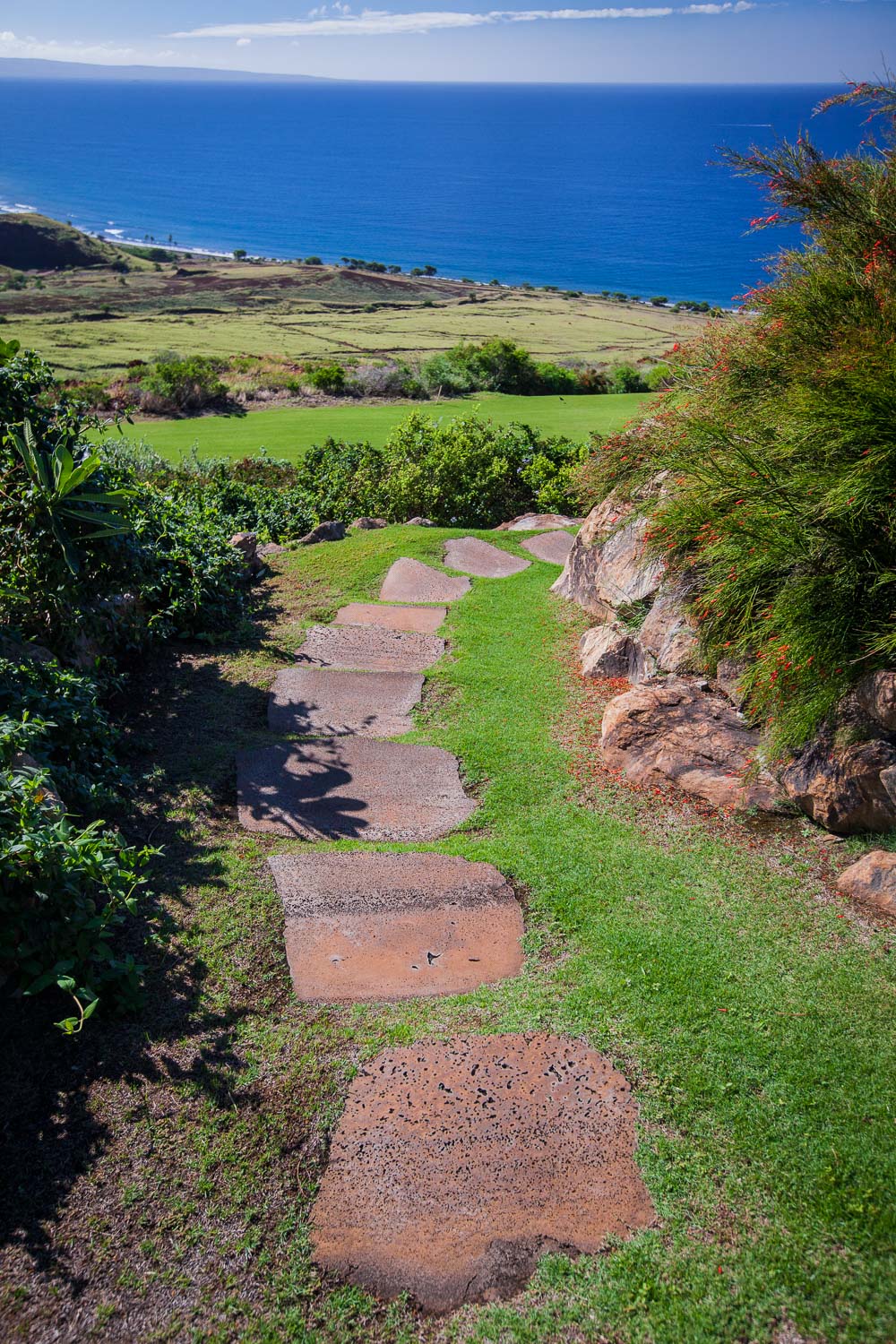chris-curtis-landscapes-stone-walkway-towards-ocean.jpg