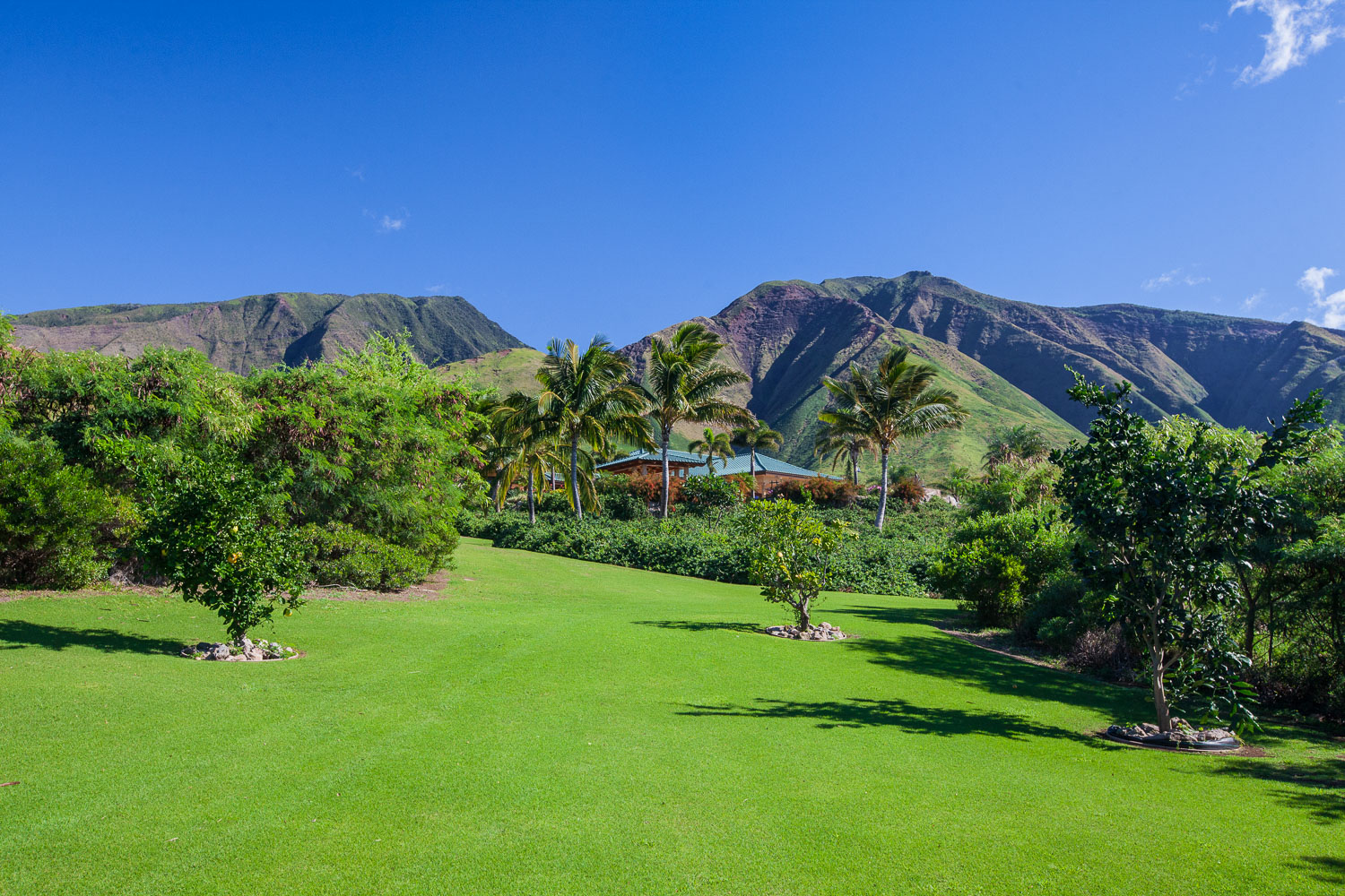 beautifully-maintained-maui-property-chris-curtis-landscapes.jpg