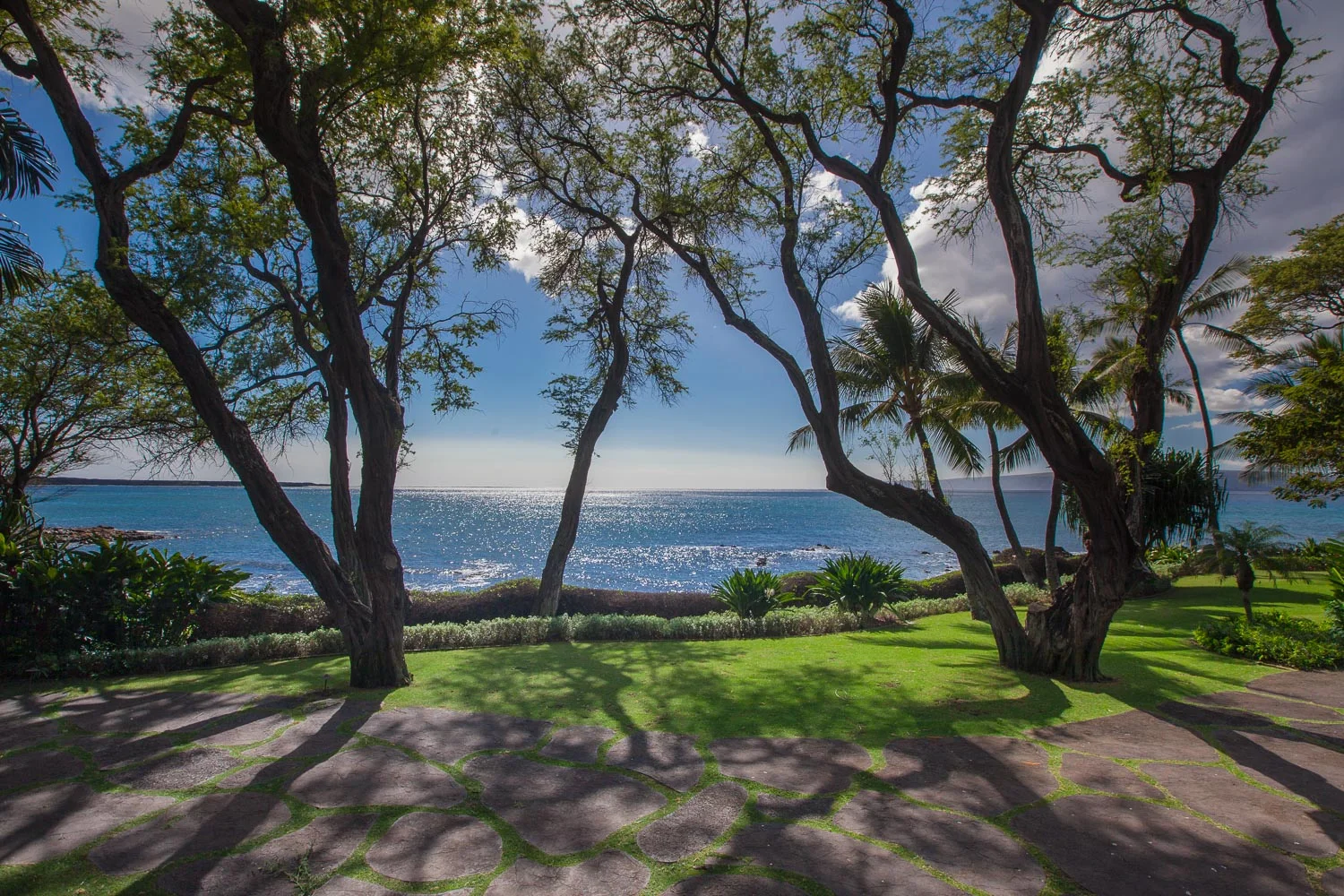 chris-curtis-landscape-design-maui-oceanfront-property.jpg