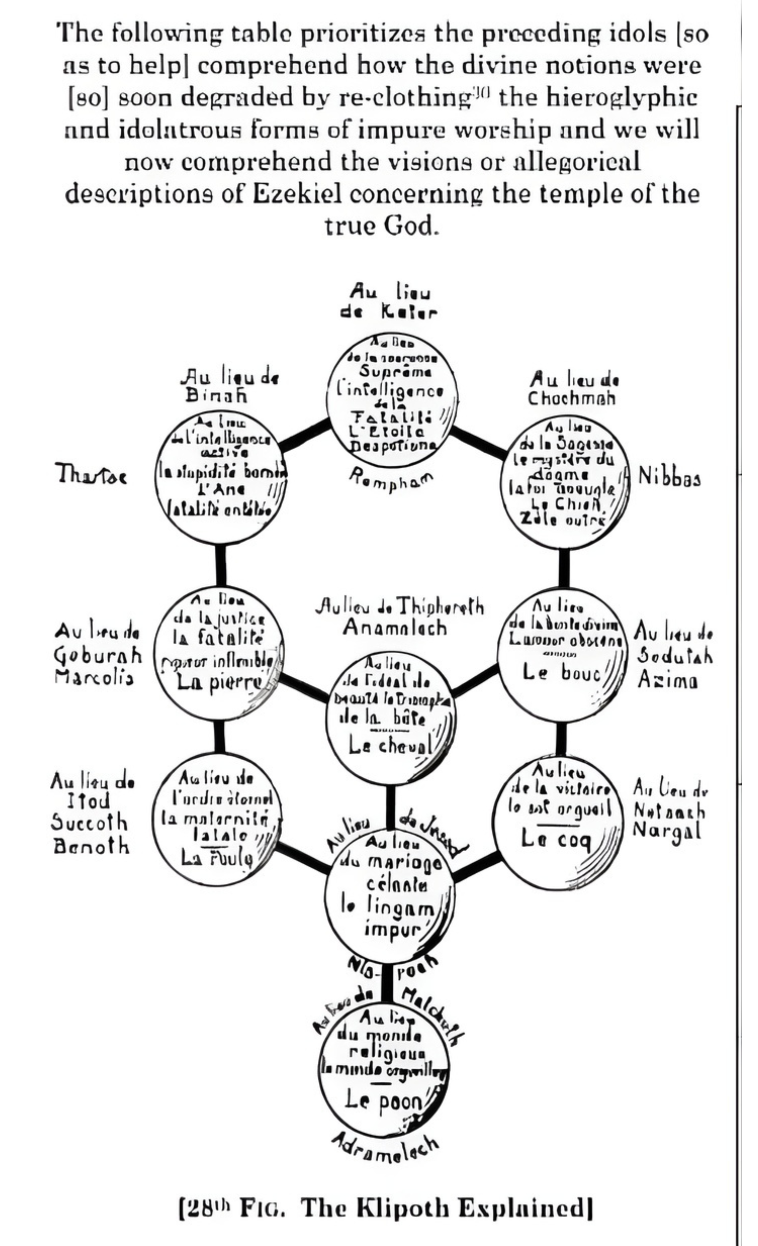 Untitled design (13).png