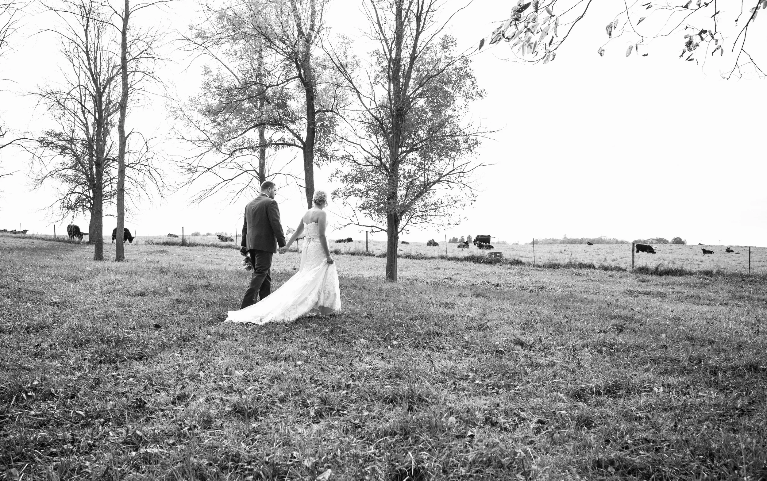 01 farm wedding141011.JPG