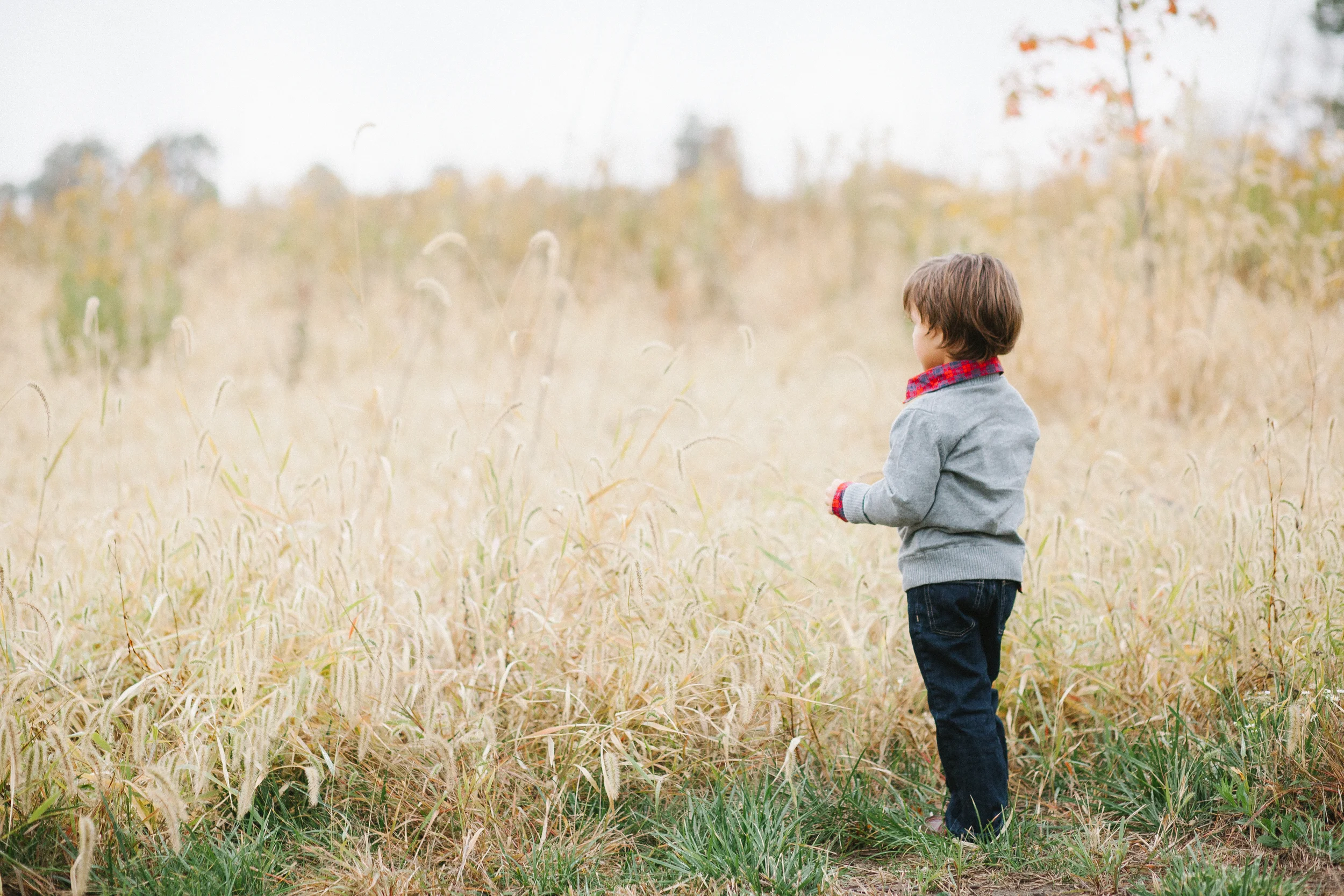 01 Testerman141010.JPG