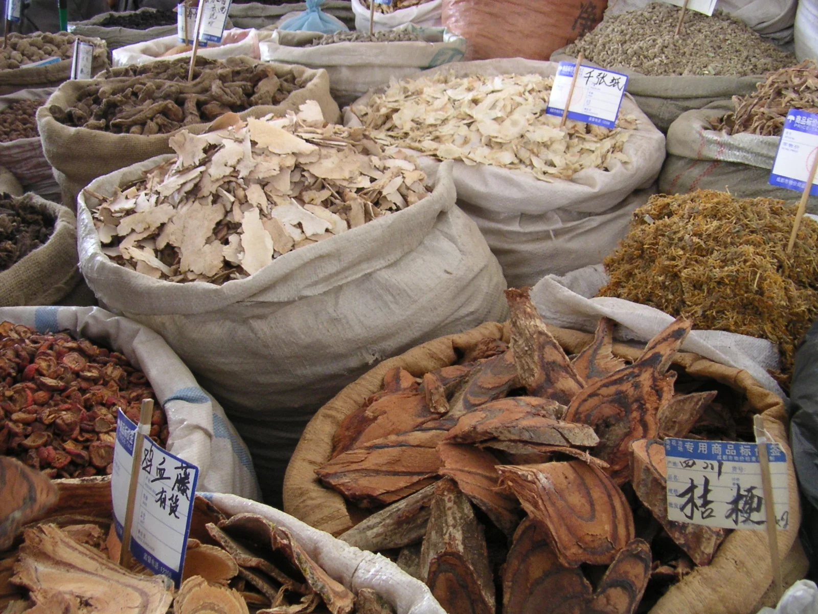 ChHerbs woods.JPG