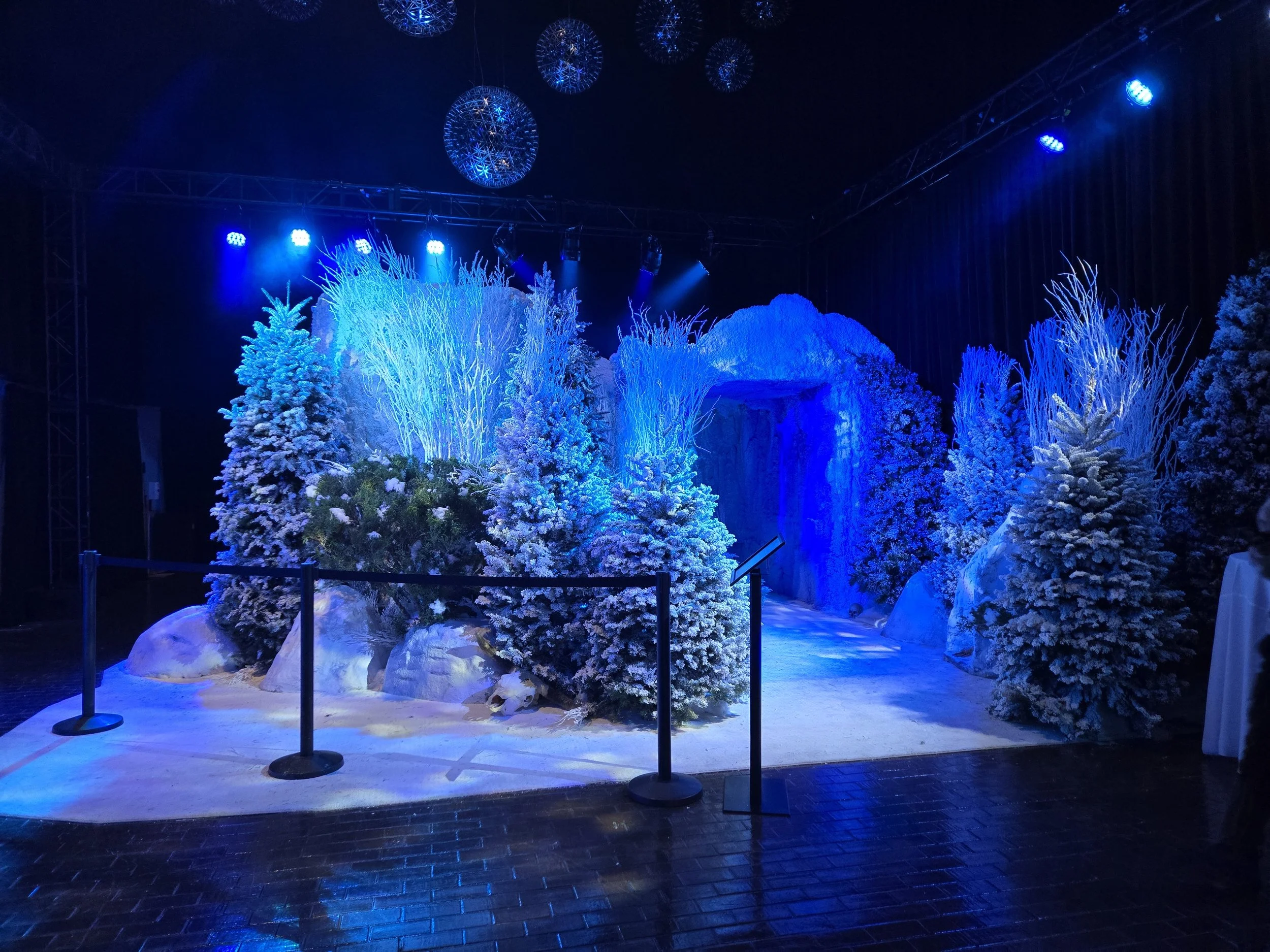 2024-12-14 16.22.07.jpg