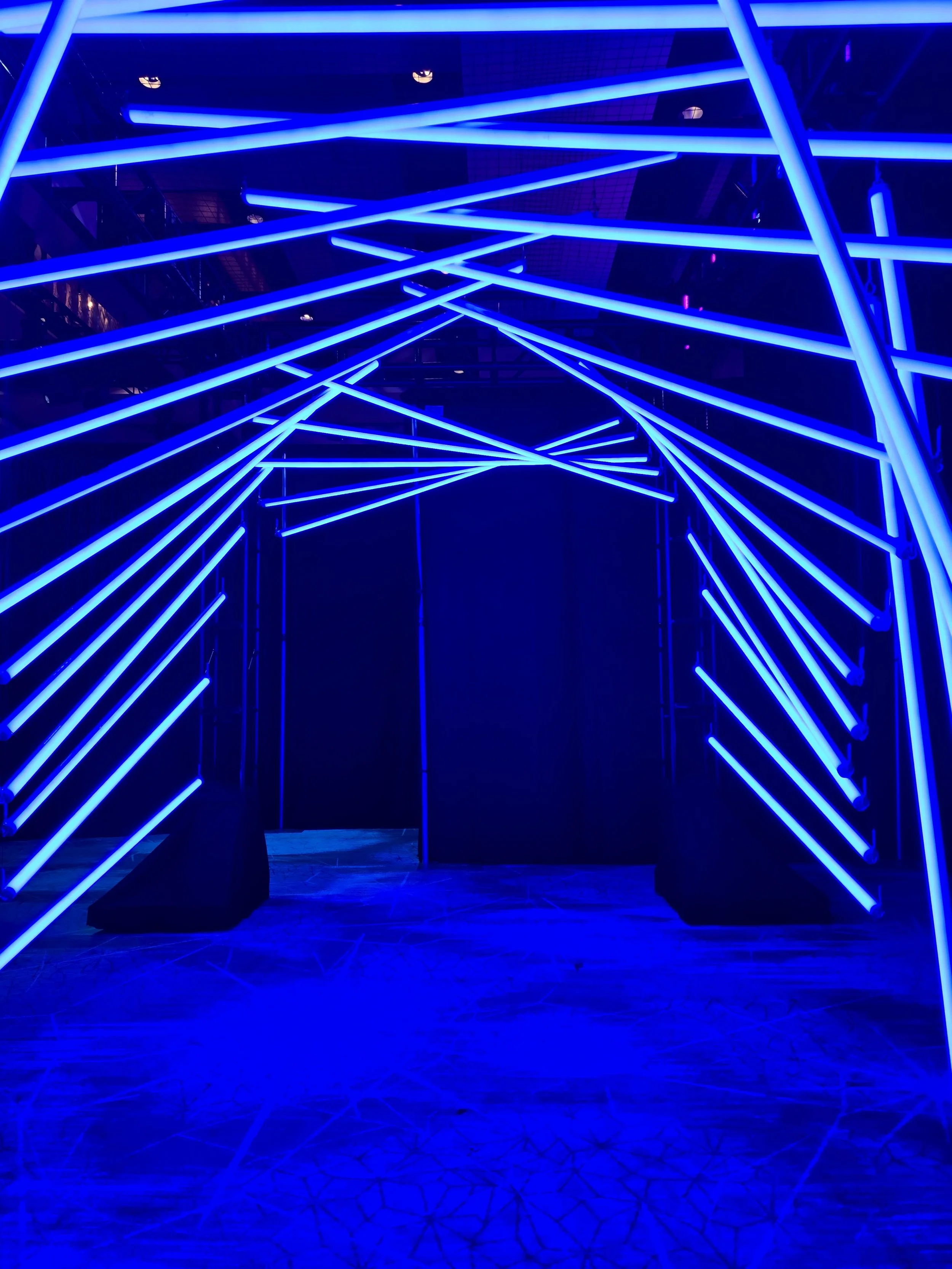 2024-09-08 17.15.38.jpg