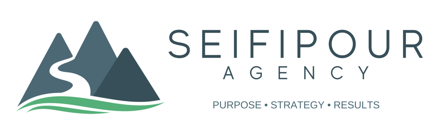 The Seifipour Agency