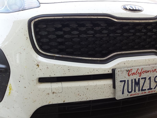Kia, killer of all the road bugs ...