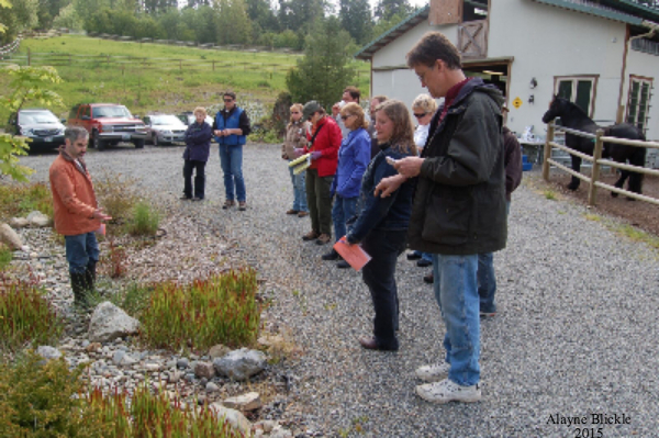Raingarden to catch surface run-off