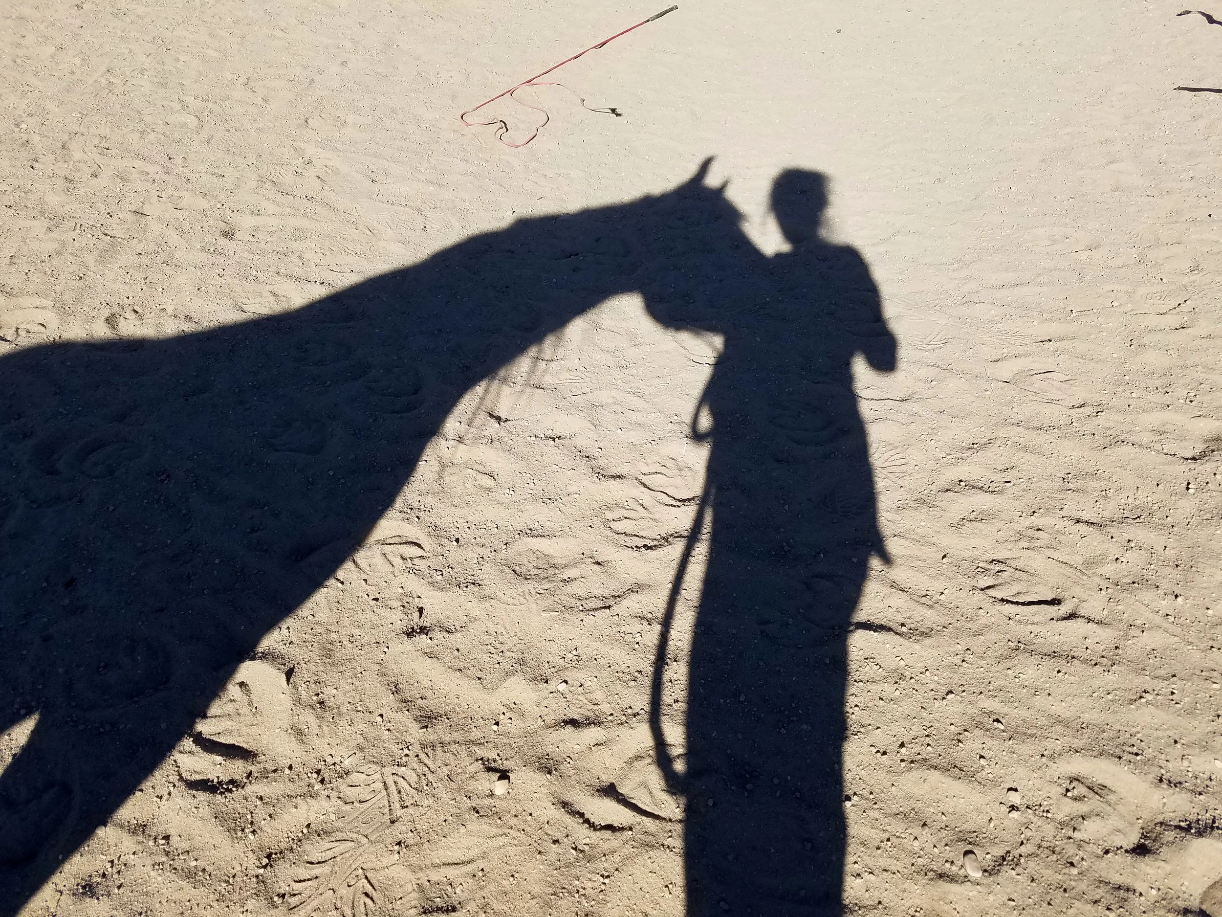 Shadow play: Winter solstice is a time for recharging, and for interesting photo ops in the northern hemisphere, when planet earth is tilted the farthest from the sun.