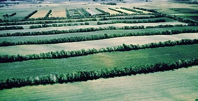 buy windbreak near me