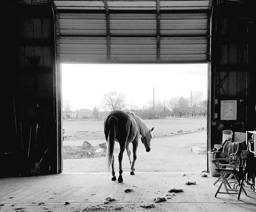 3-30-18 B&W.jpg
