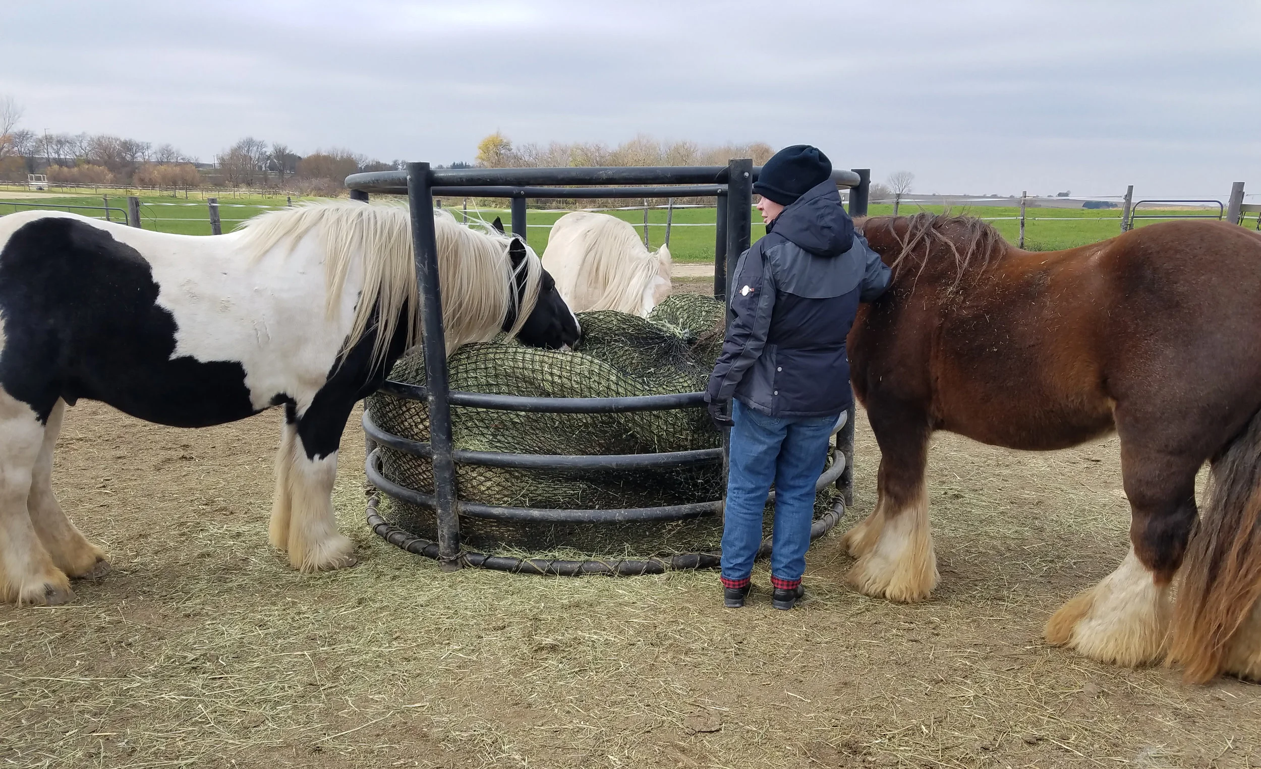 equine slow feeder