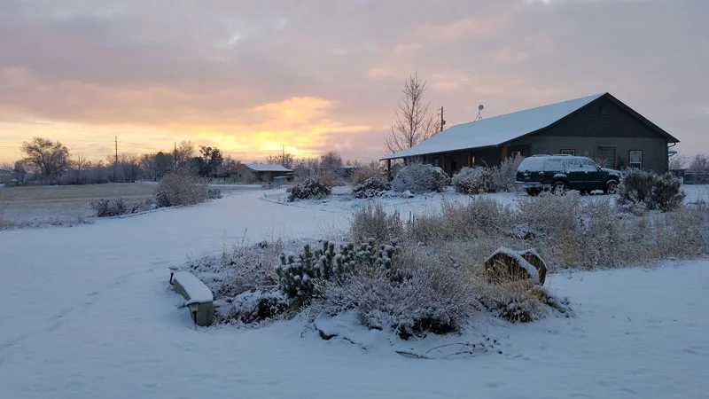 house-in-snow-horses-for-clean-water.jpg