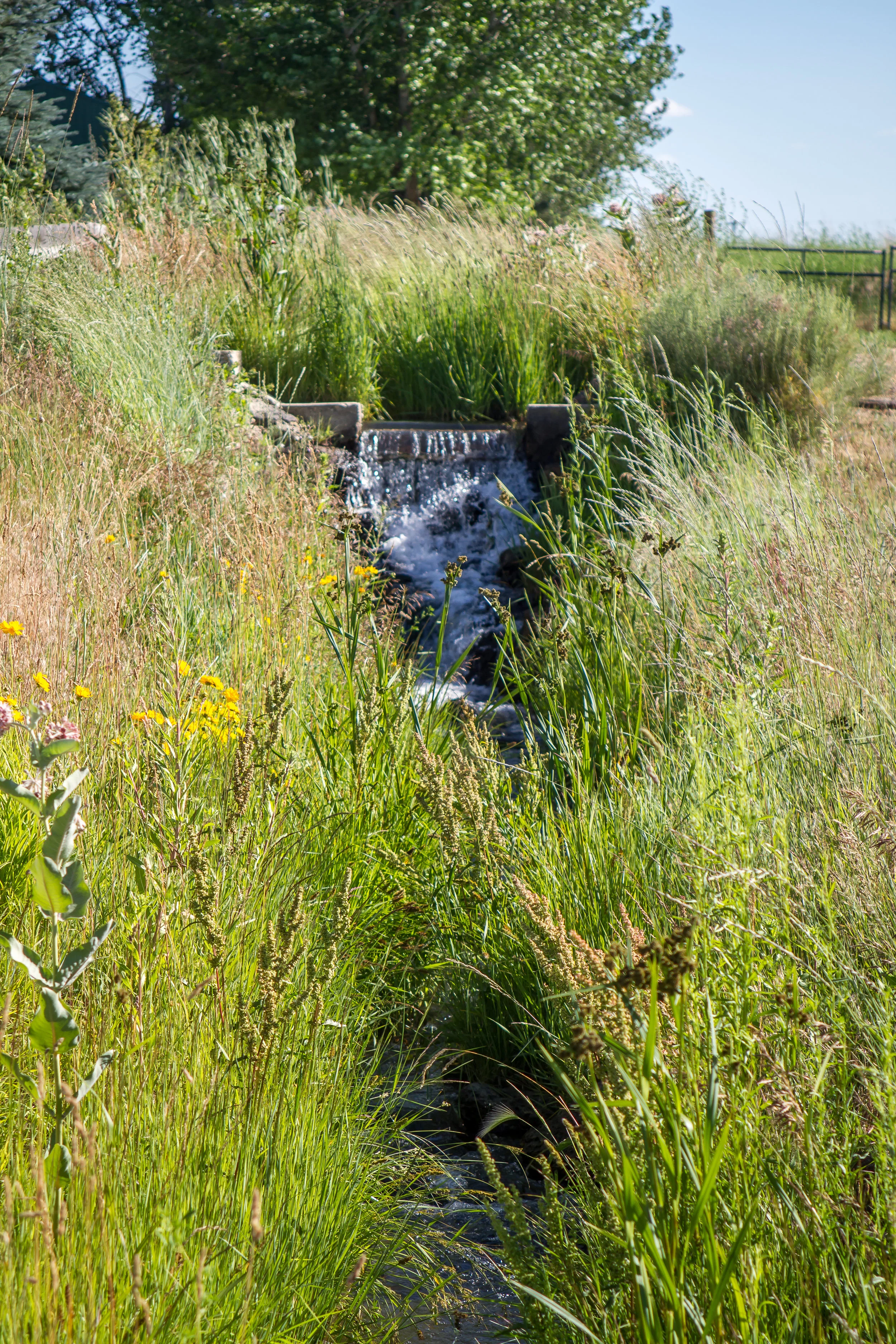 Sustainable Horse Keeping Reduces Environmental Impacts — Horses for