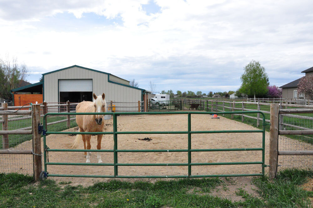 Dealing with Springtime Mud on Horse Properties — Horses for Clean Water
