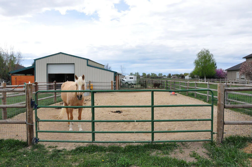 Dealing with Springtime Mud on Horse Properties — Horses for Clean Water