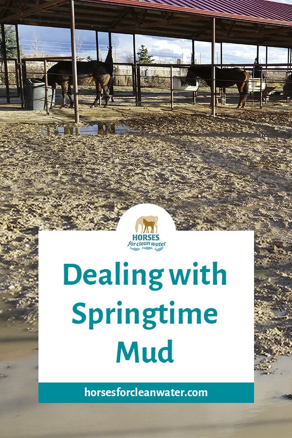 Dealing with Springtime Mud on Horse Properties — Horses for Clean Water