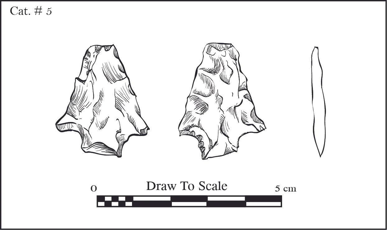 artifacts -01-01.jpg