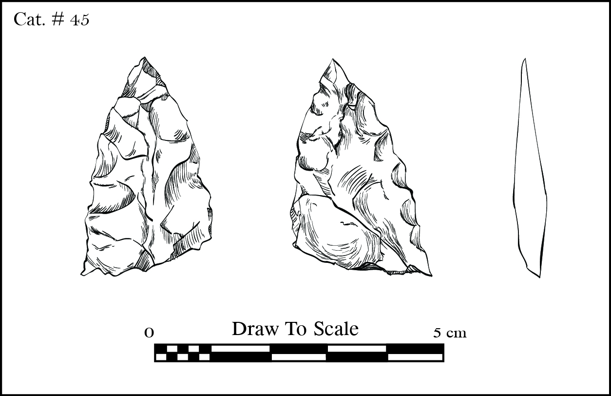 Cat_45-01.jpg