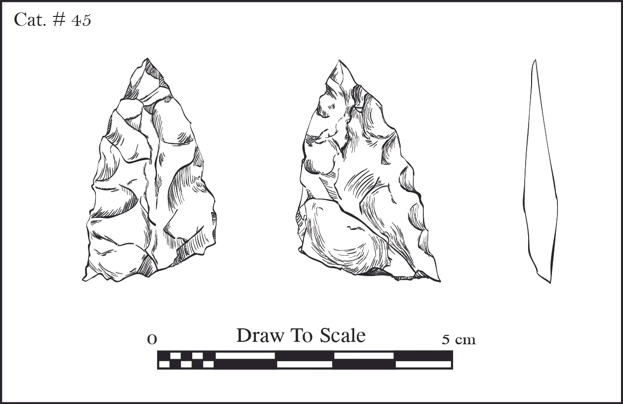 Cat_45-01.jpg