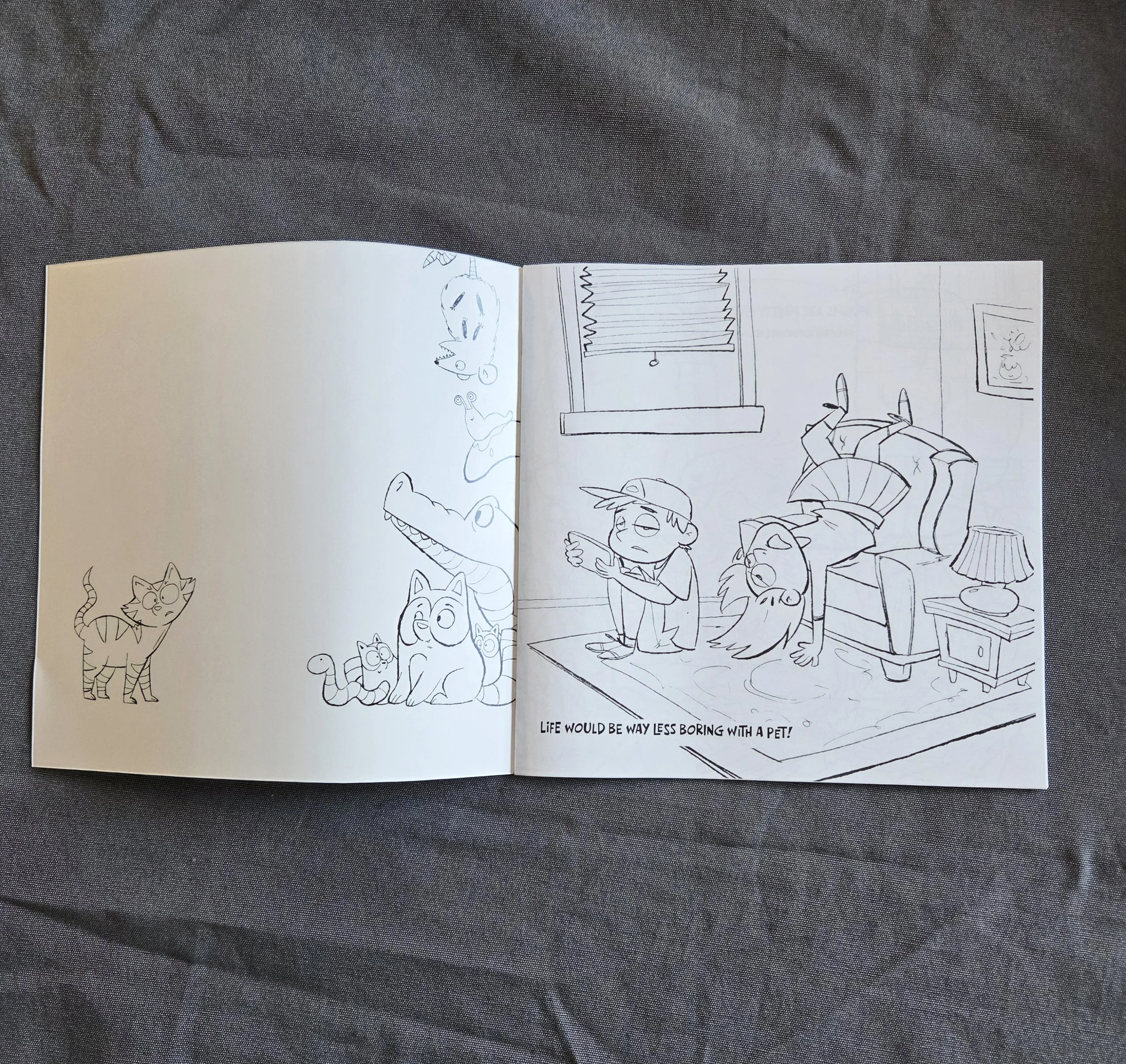 not a pet_interior.jpg