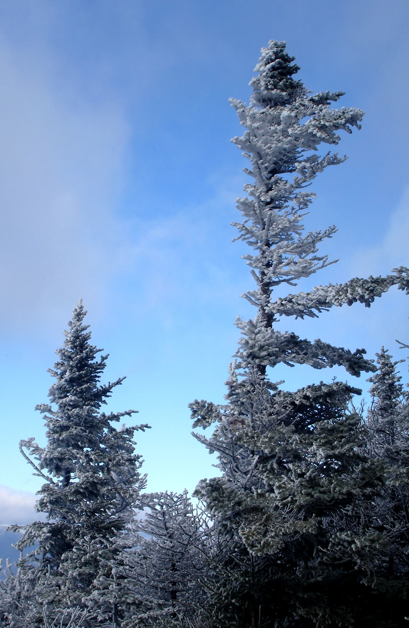 Sandwich Mountain -20 F