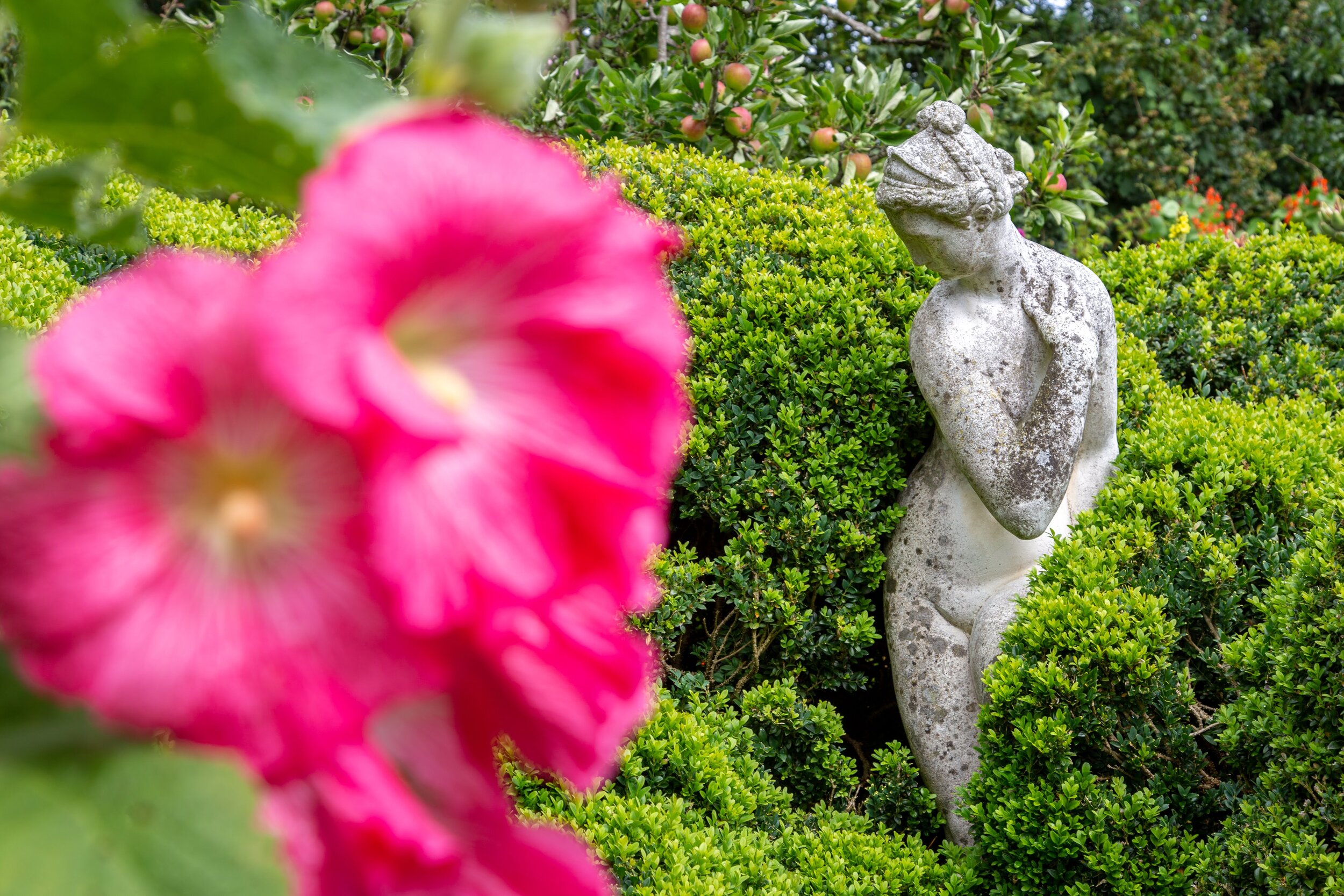 Flower statue bush charleston*.jpg