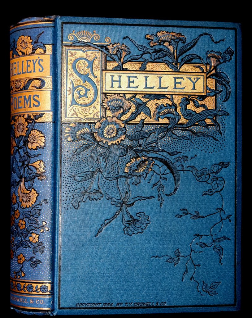 Shelley book cover blue.jpg