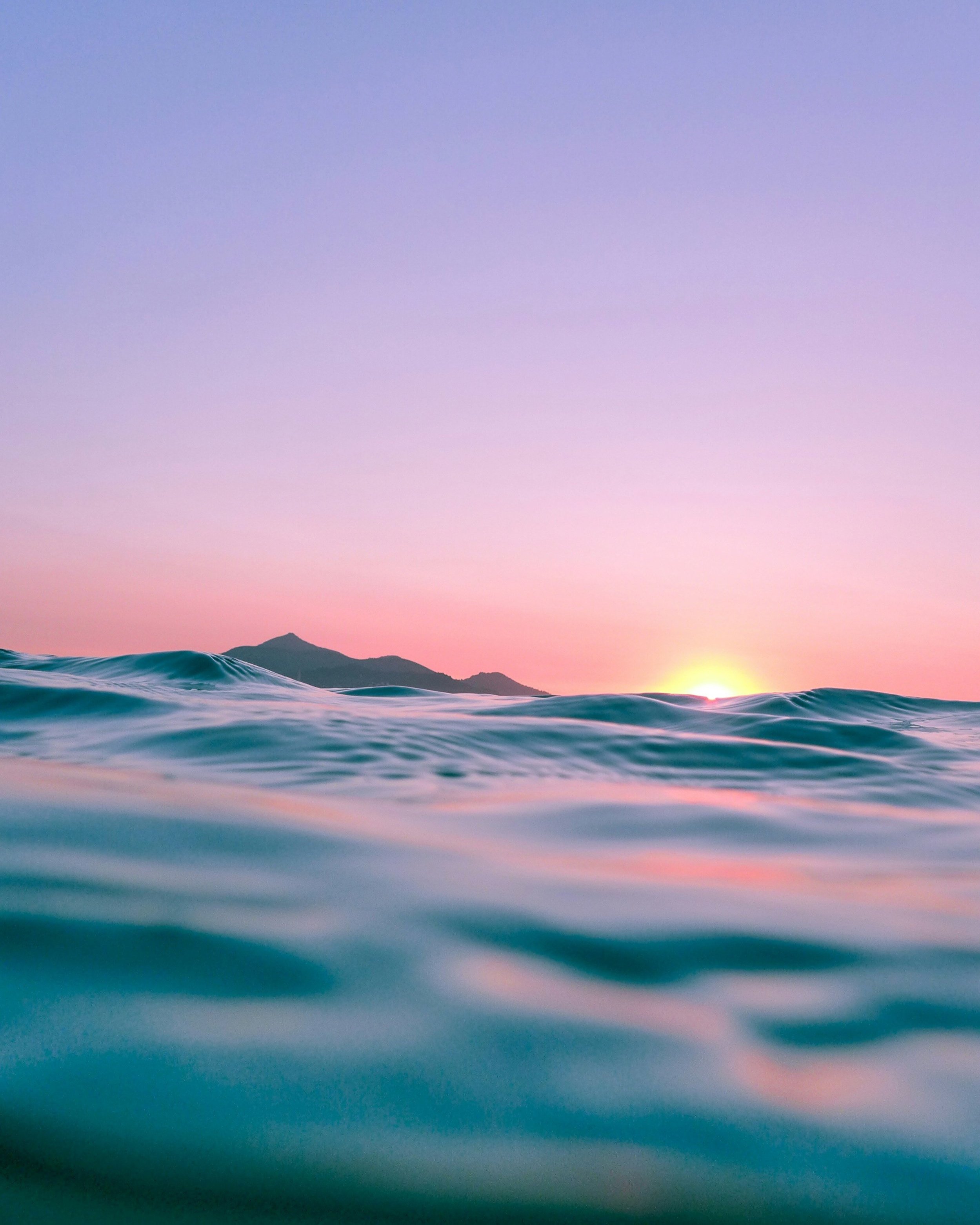 linus-nylund+sea+pink+unsplash.jpg