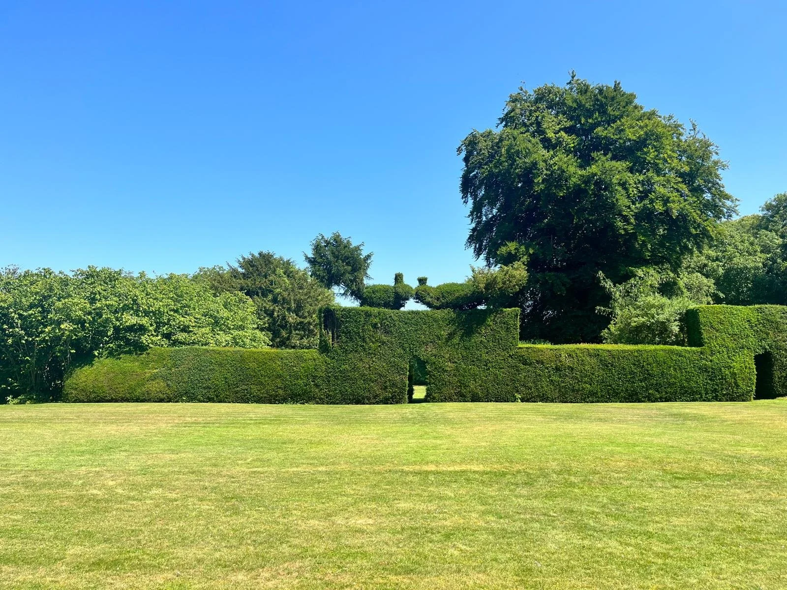 PHOTO-2026-01-10-21-21-33 3.jpg