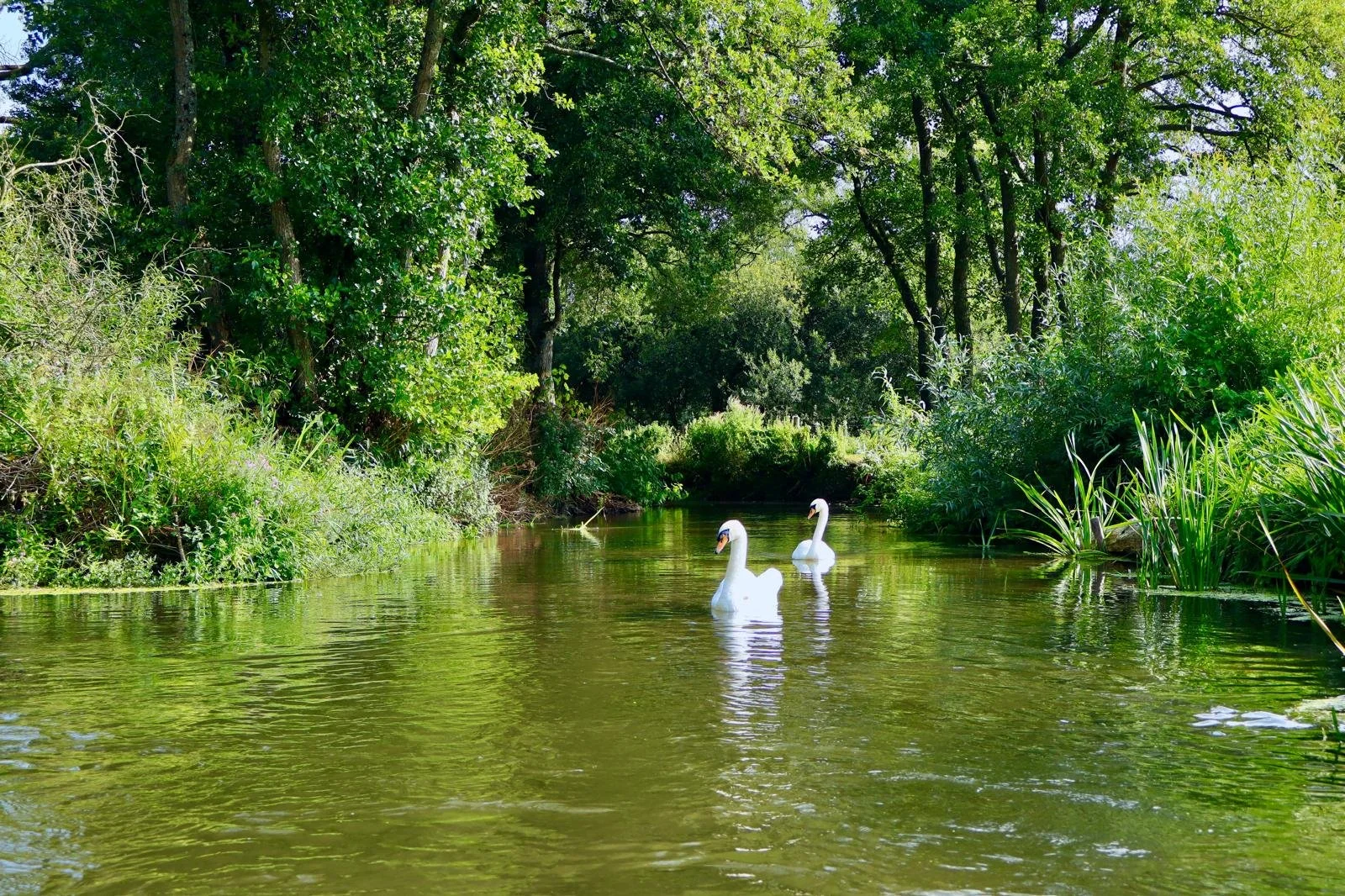 PHOTO-2026-01-10-21-21-34 2.jpg