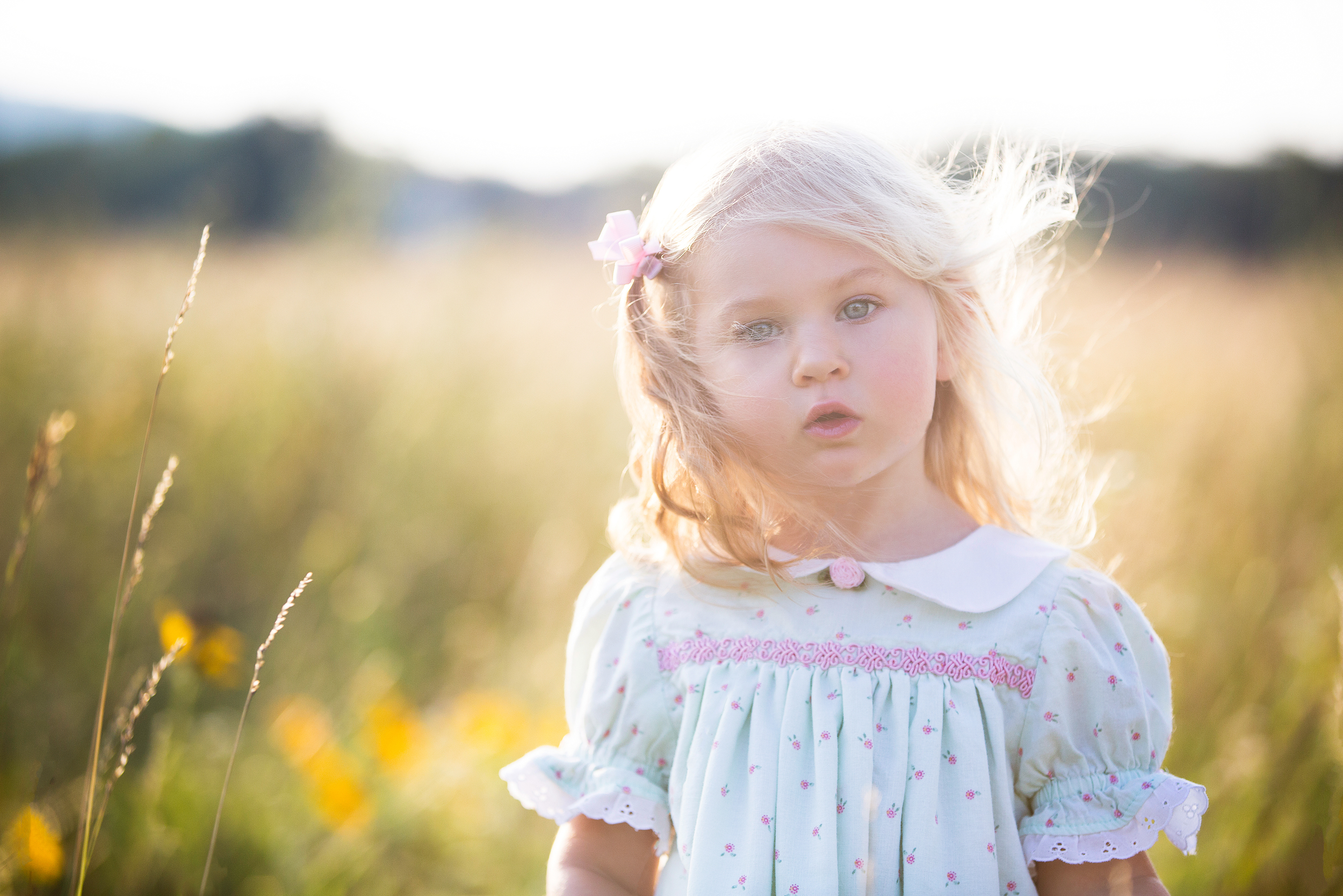 portrait of a little girl. Photographed in Maryland by Clare Ahalt Photography, a fine art photographer specializing in fine art child portraiture and high school senior portraits 