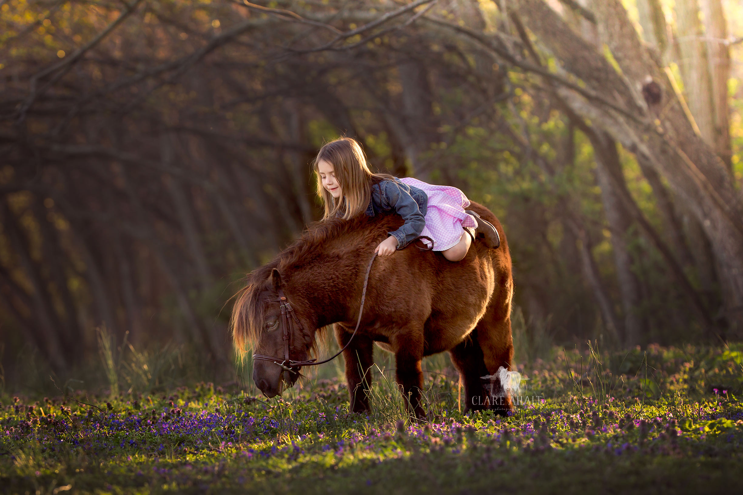 frederick md photographer frederick md child photographer maryland photographer maryland child photographer best frederick md photographer.jpg